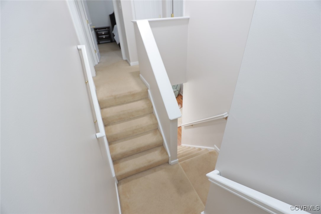 11517 Creek Bottom Ter