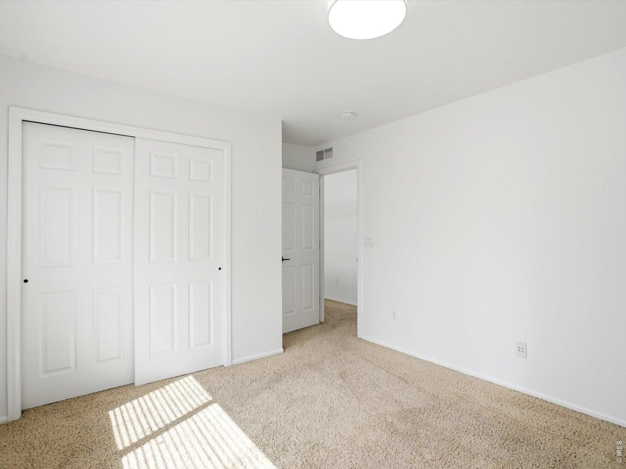 1633 Hallet Peak Dr