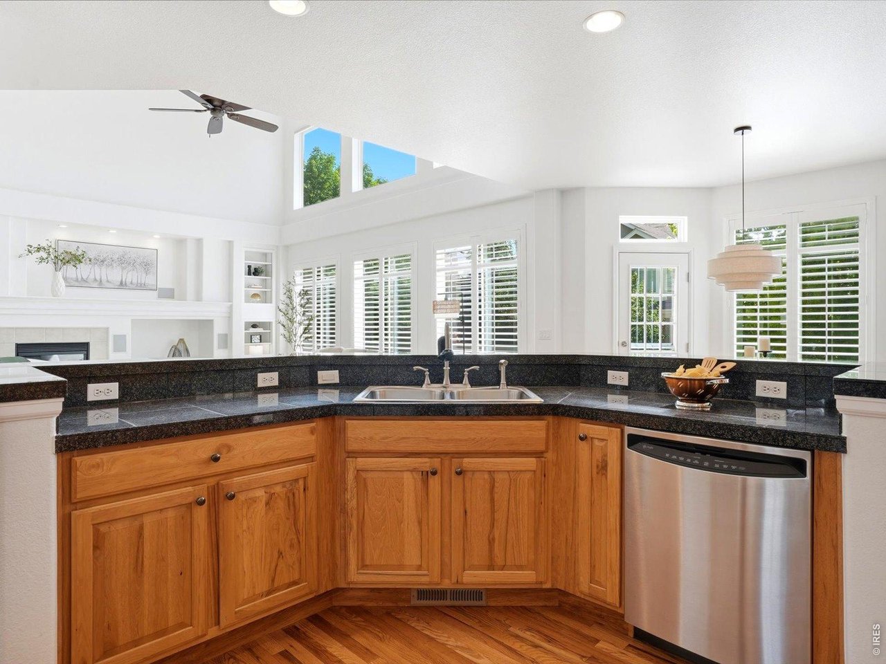 1633 Hallet Peak Dr