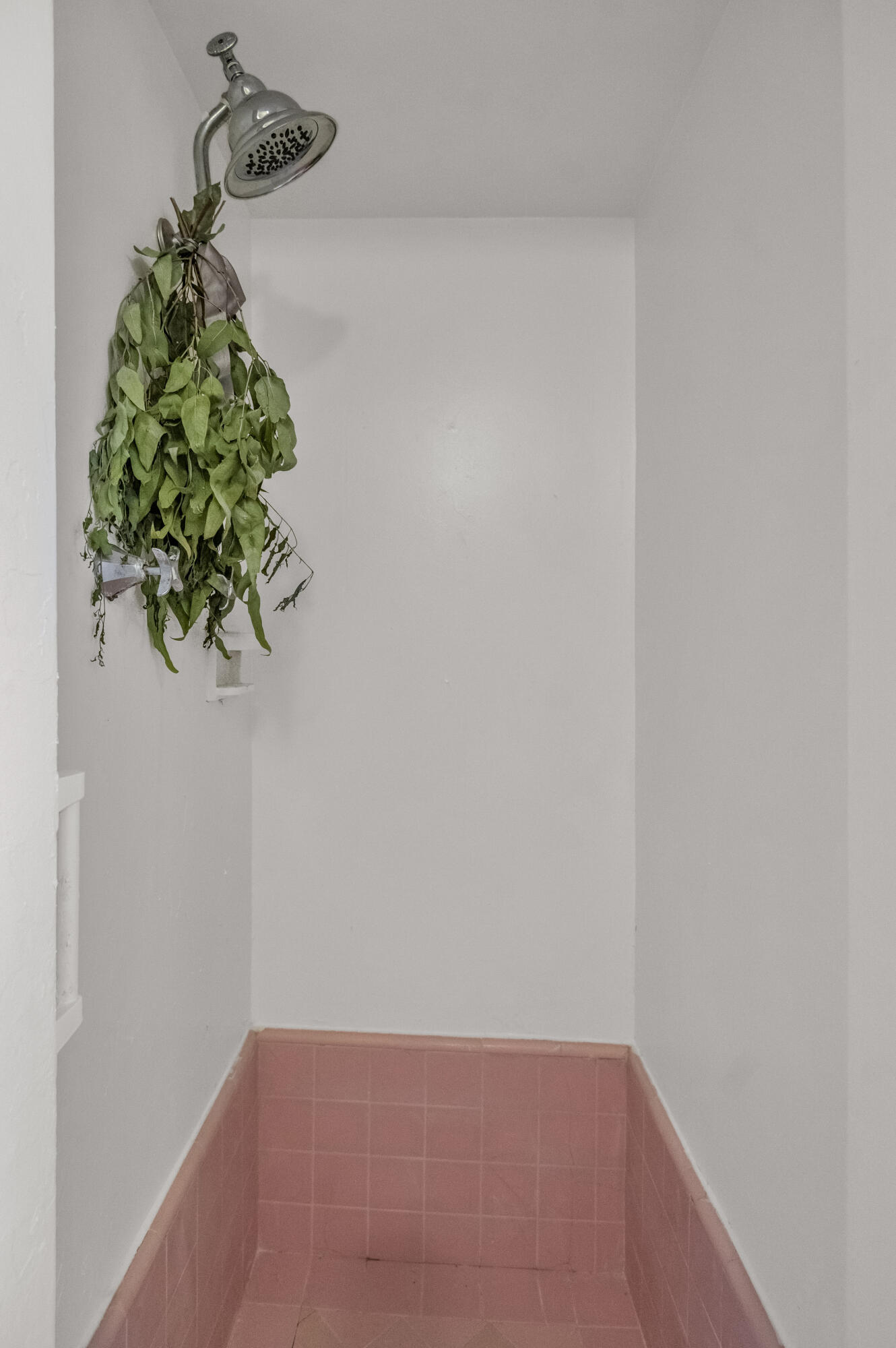 1016 E Kaweah Avenue