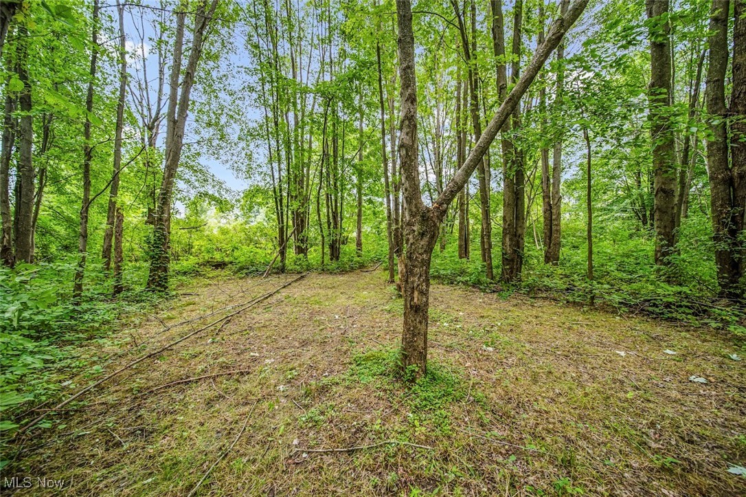 2863 Mill Creek Road