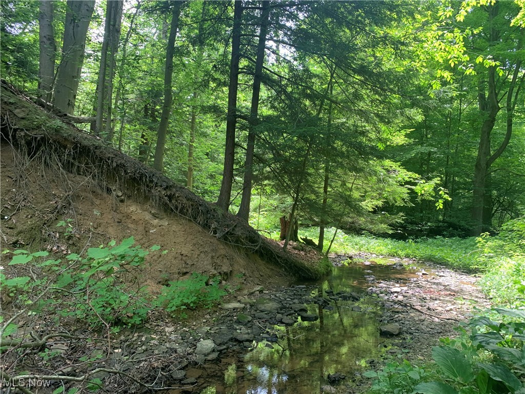 Stanhope Kelloggsville Road