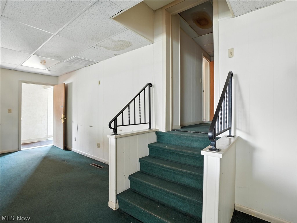 244 Mill Street