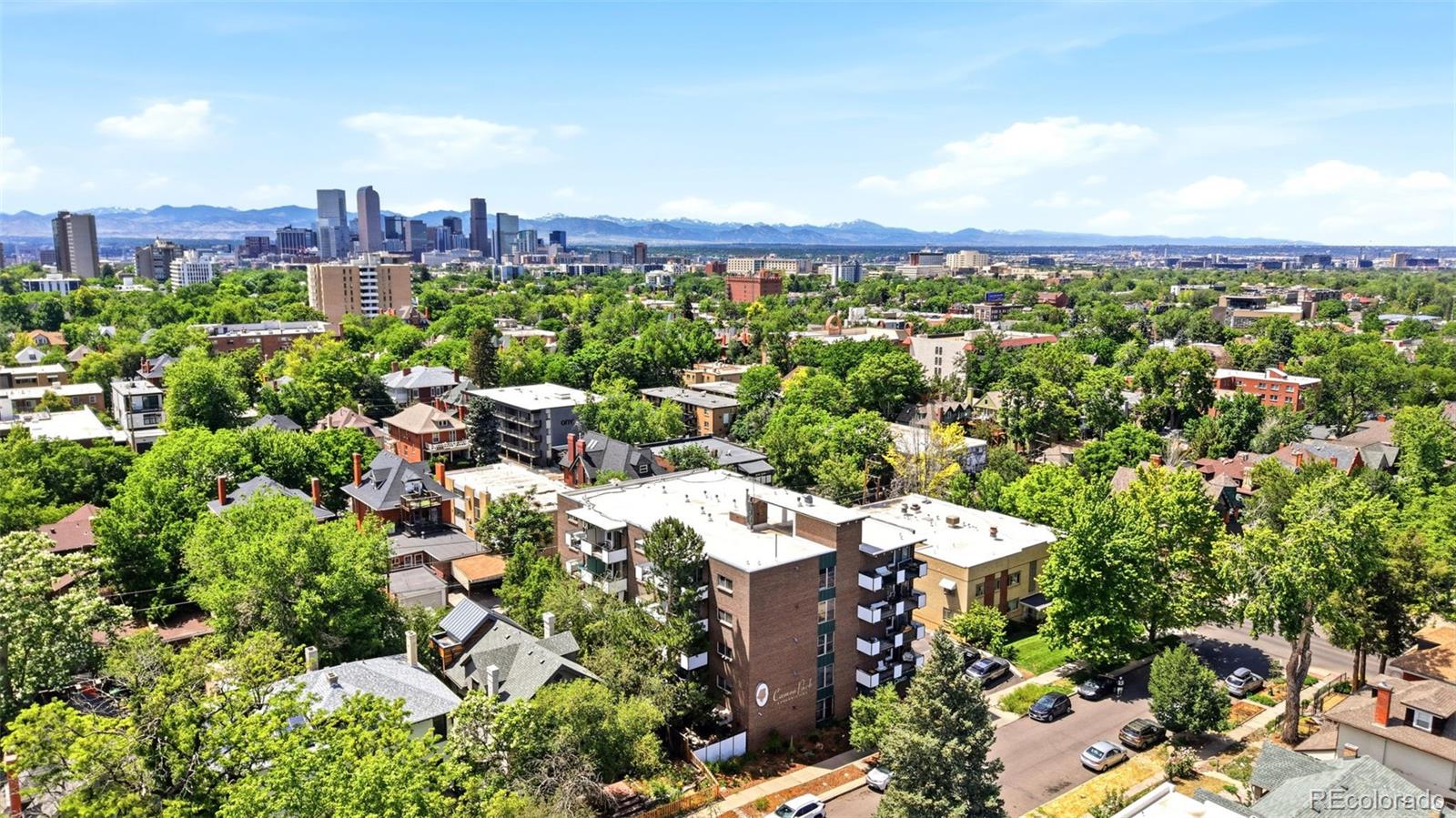 1265 Elizabeth Street Unit: 503