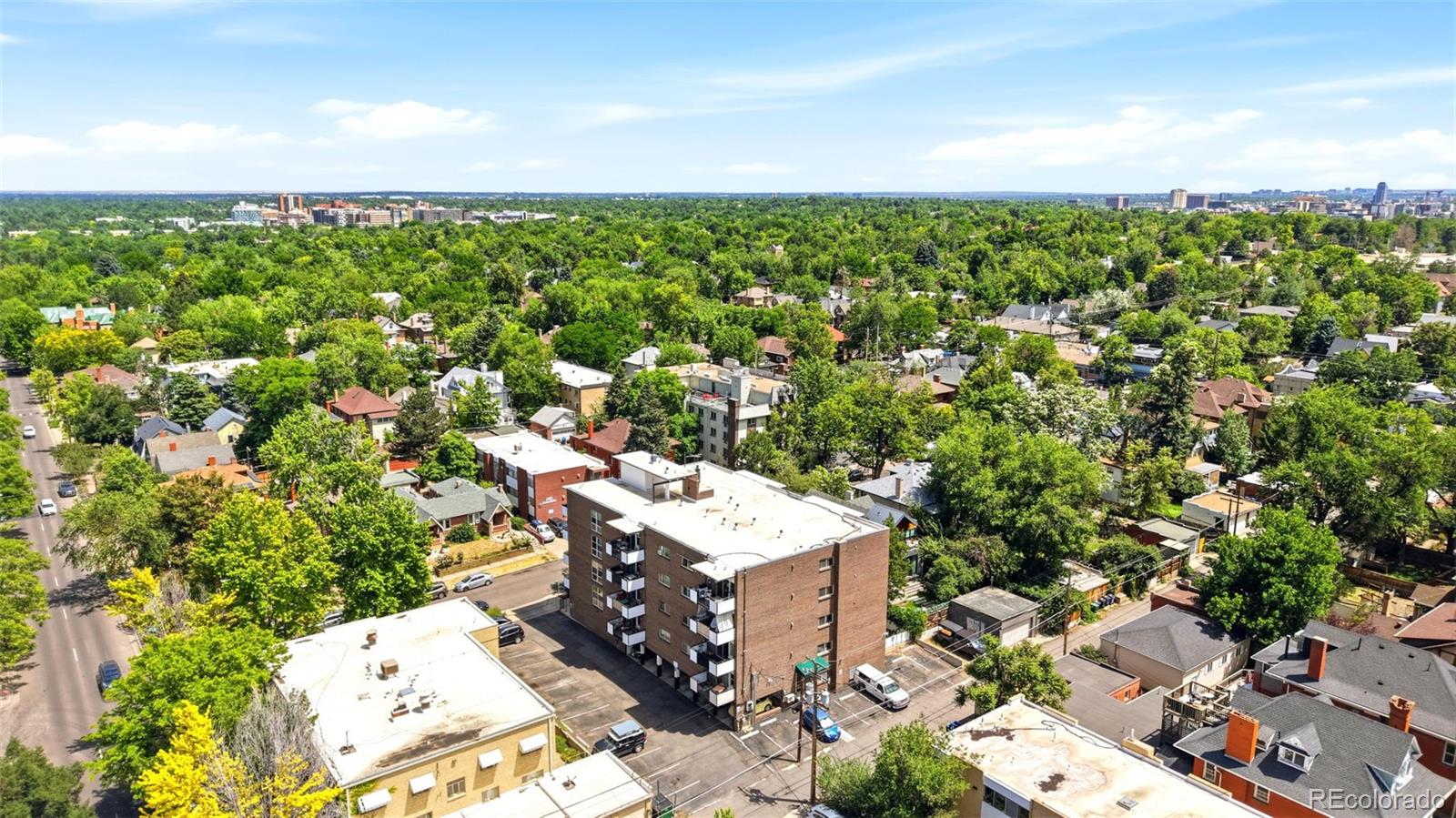 1265 Elizabeth Street Unit: 503