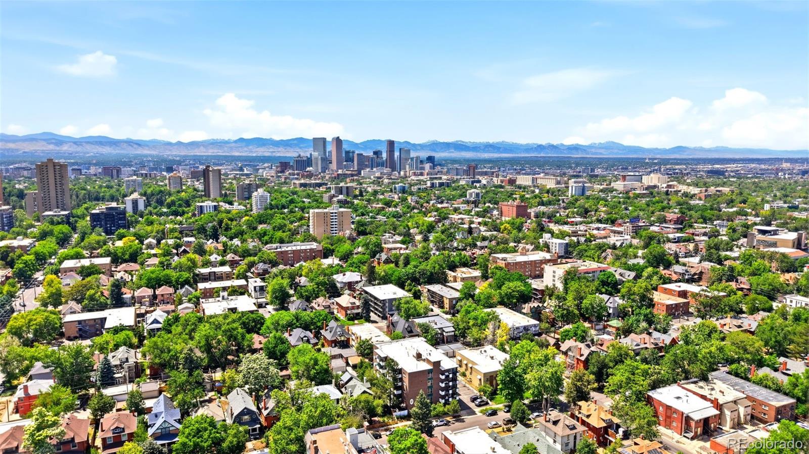 1265 Elizabeth Street Unit: 503