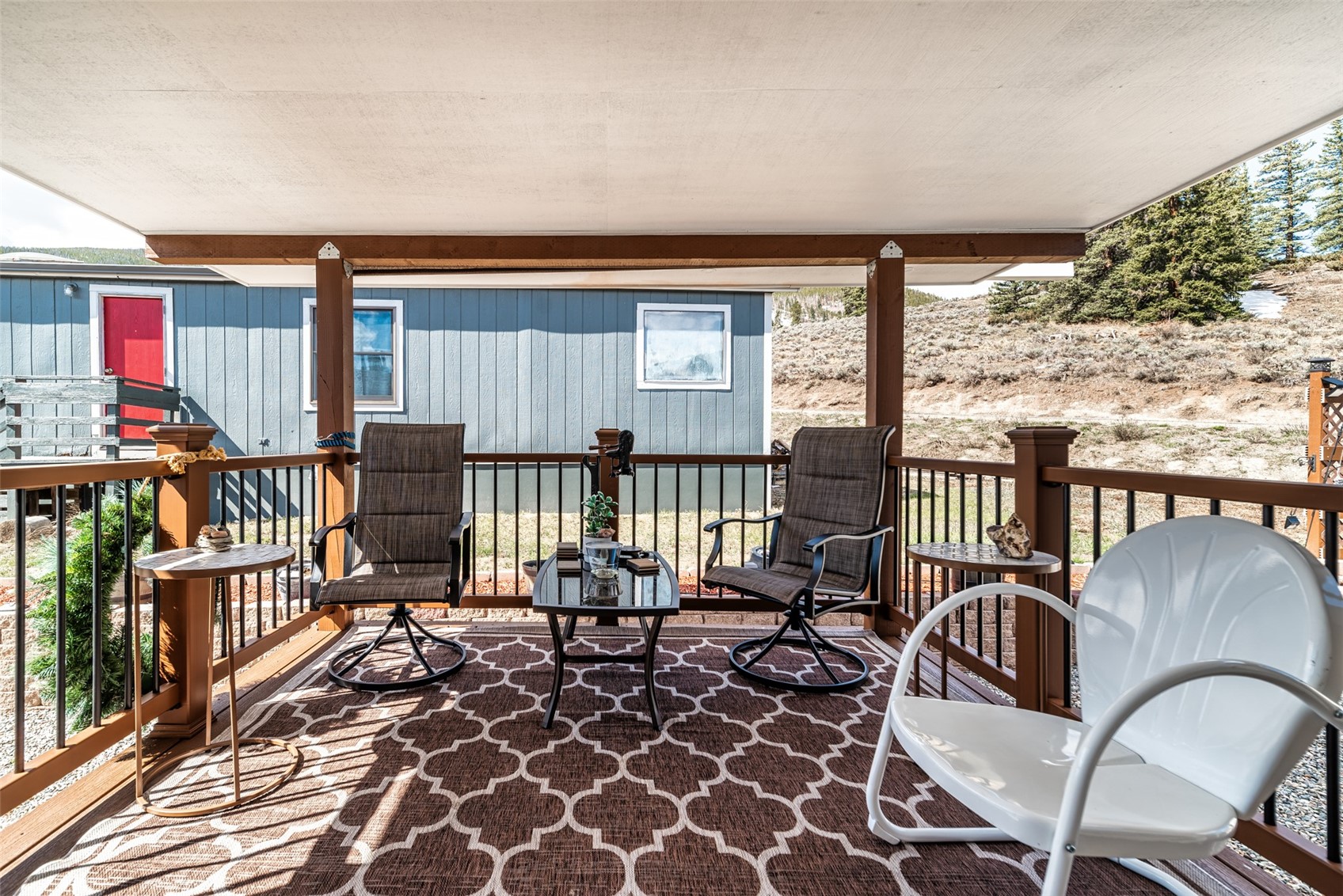 133 Pikes Peak PLACE