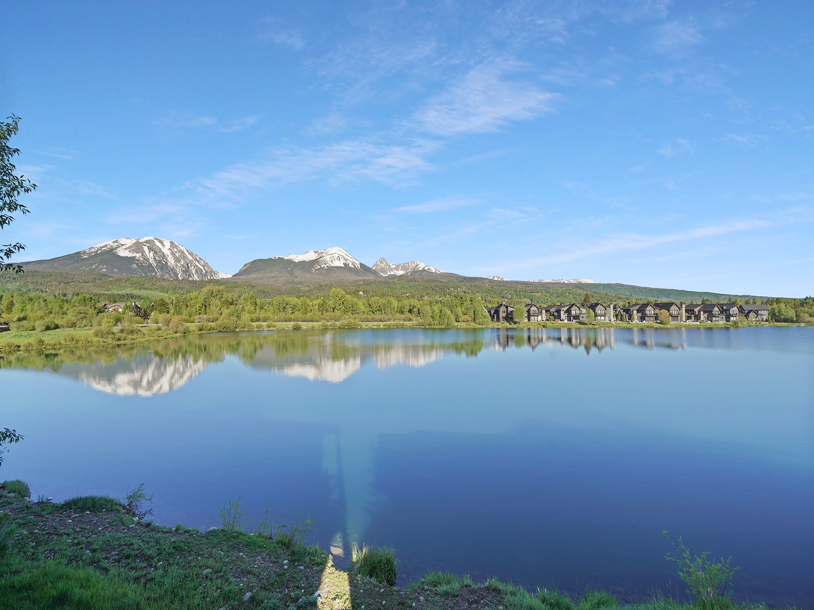 217 Fly Line DRIVE 217