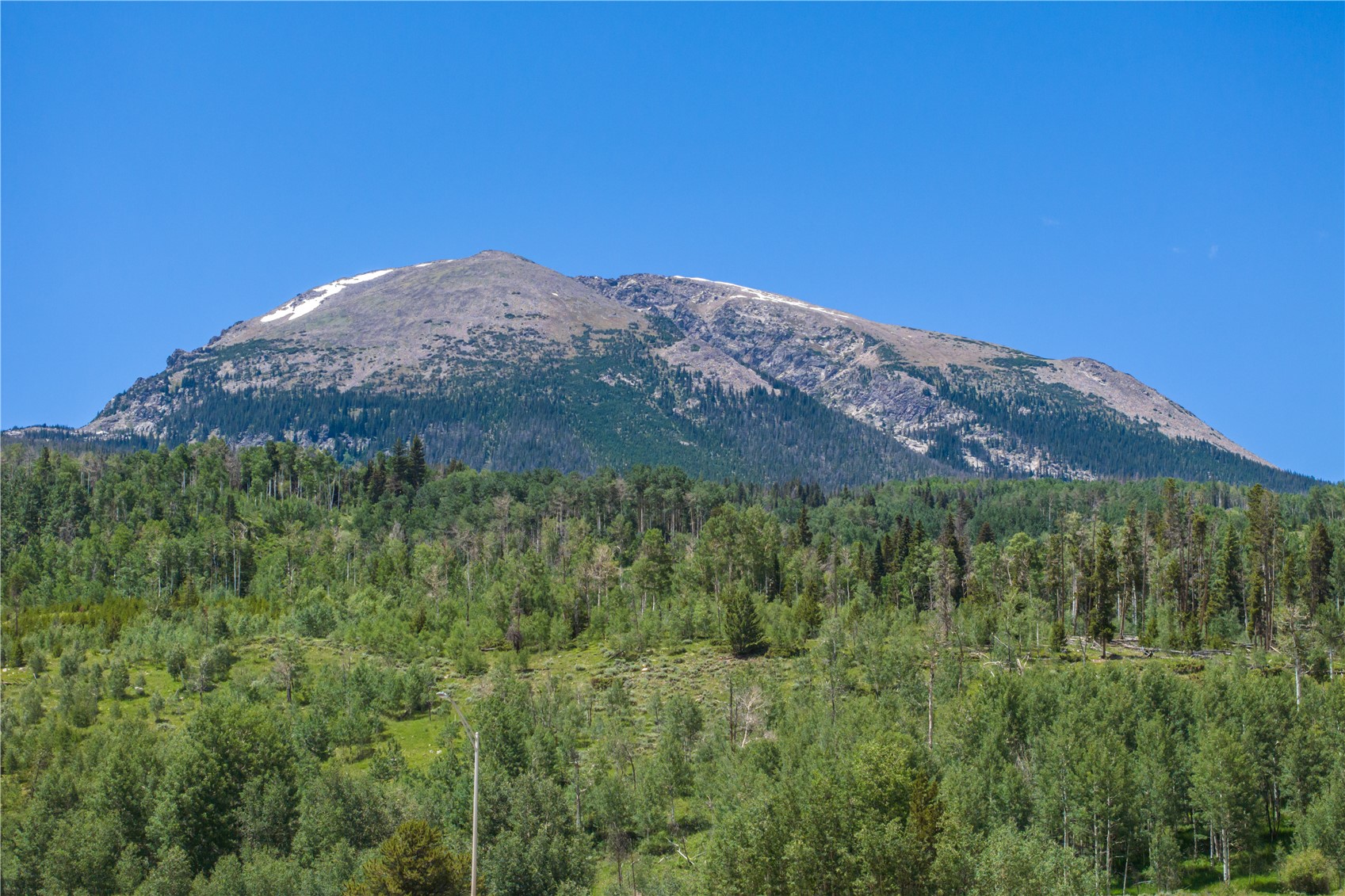 105 Lusher COURT 101