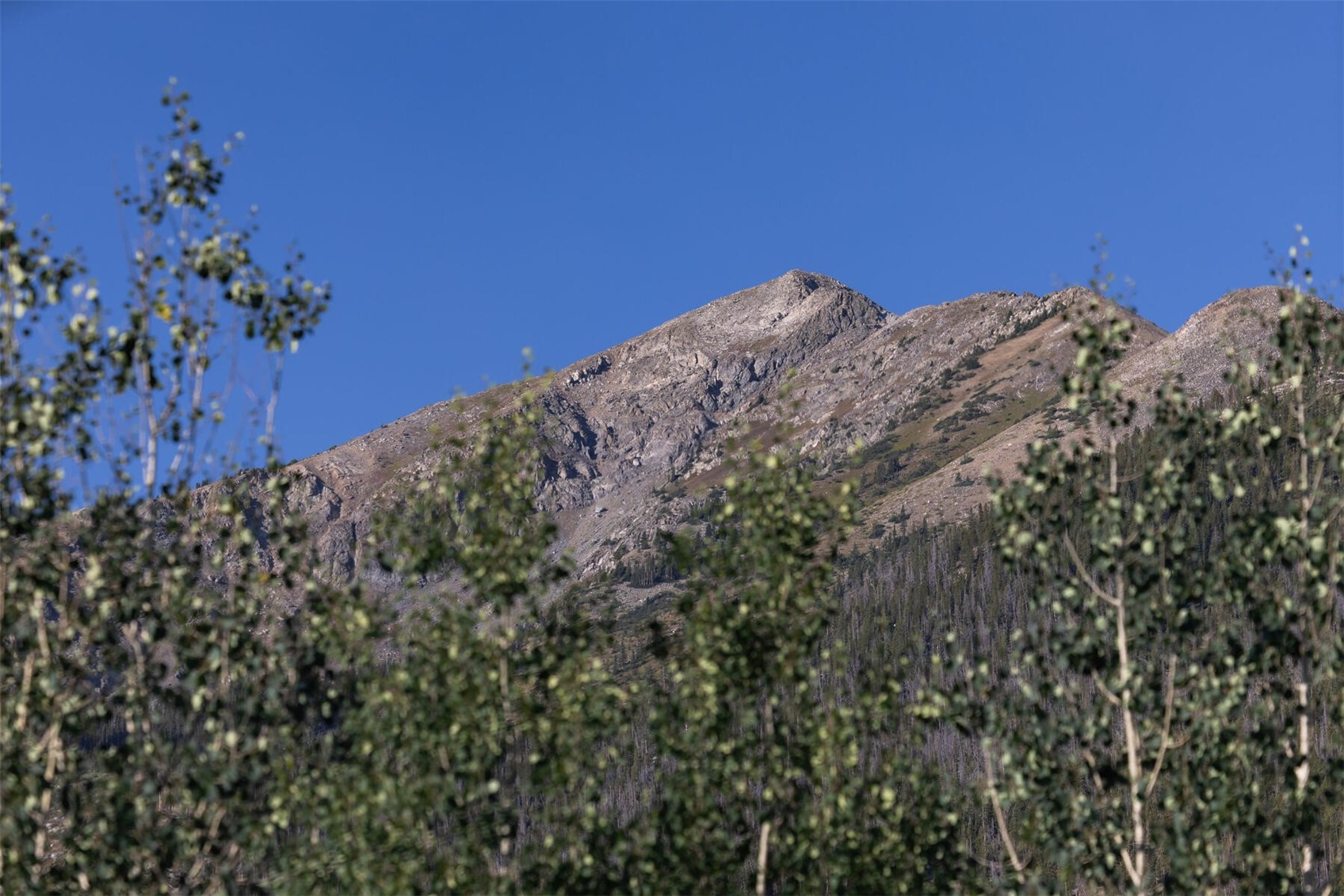 670 S 7th AVENUE 249