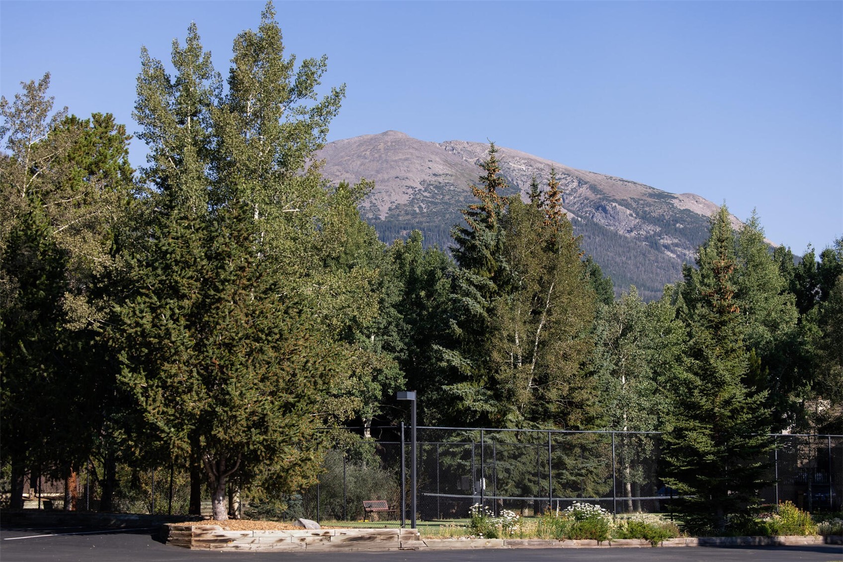 670 S 7th AVENUE 249