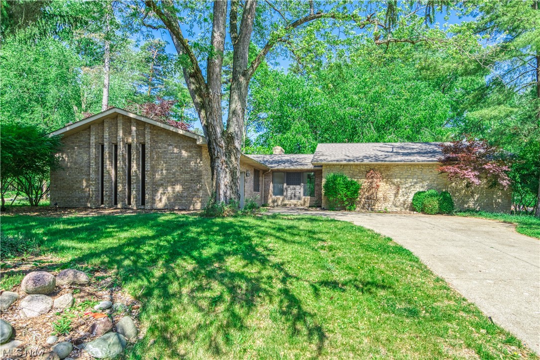 131 Alber Drive