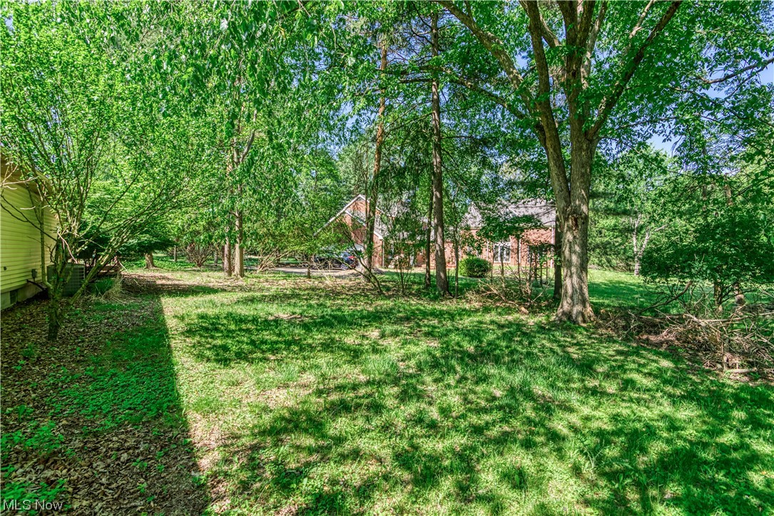 131 Alber Drive