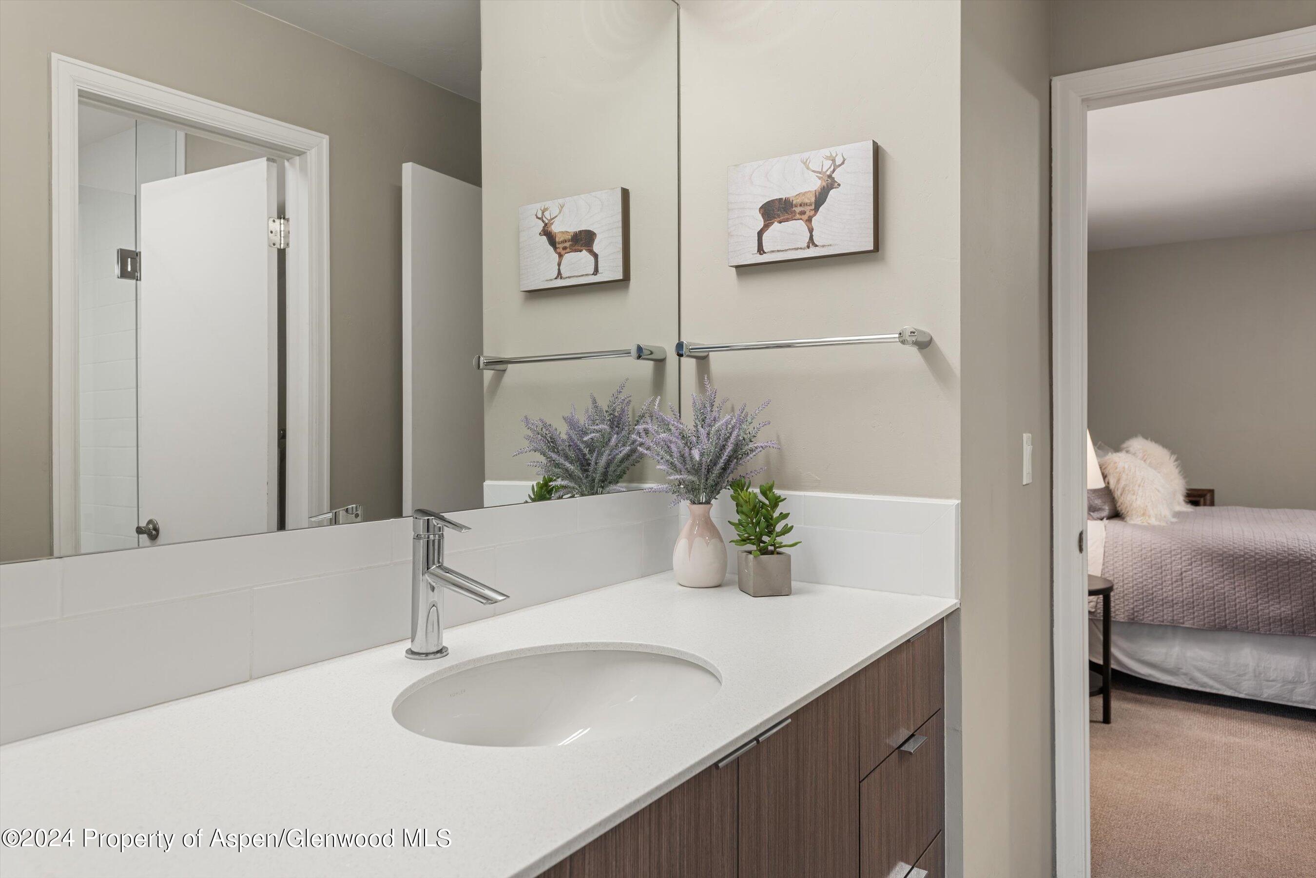 1650 Homestake Drive