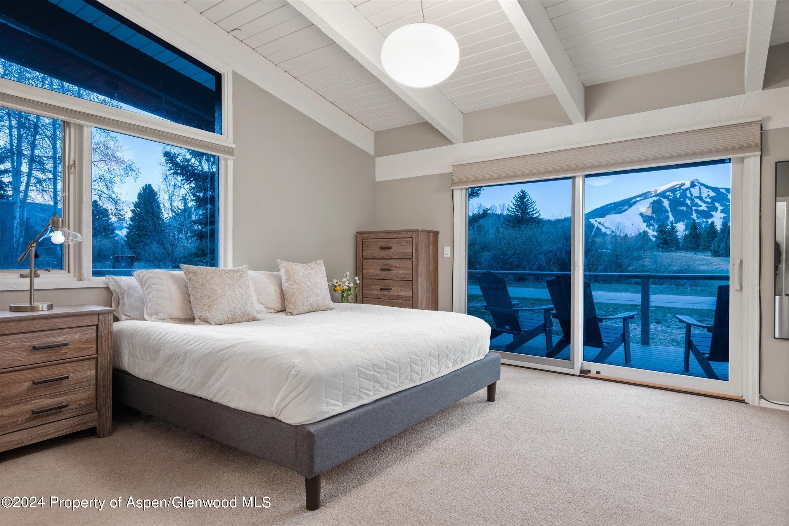 1650 Homestake Drive