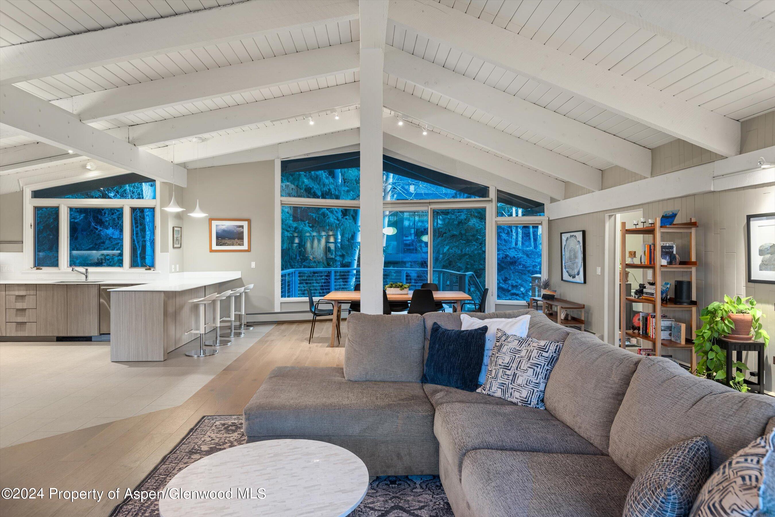 1650 Homestake Drive