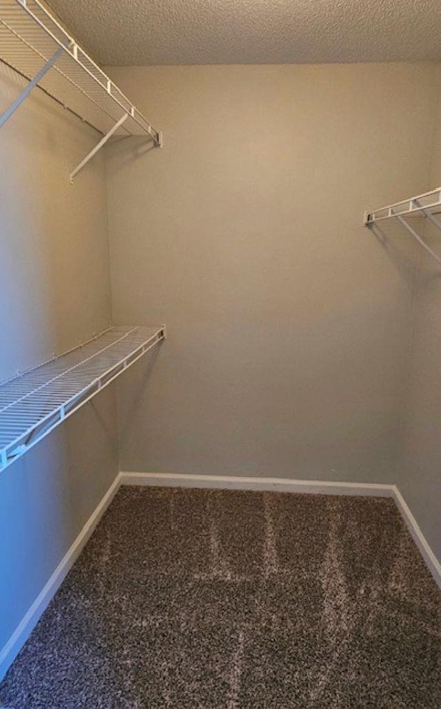 5338 HIDDEN MEADOWS DR