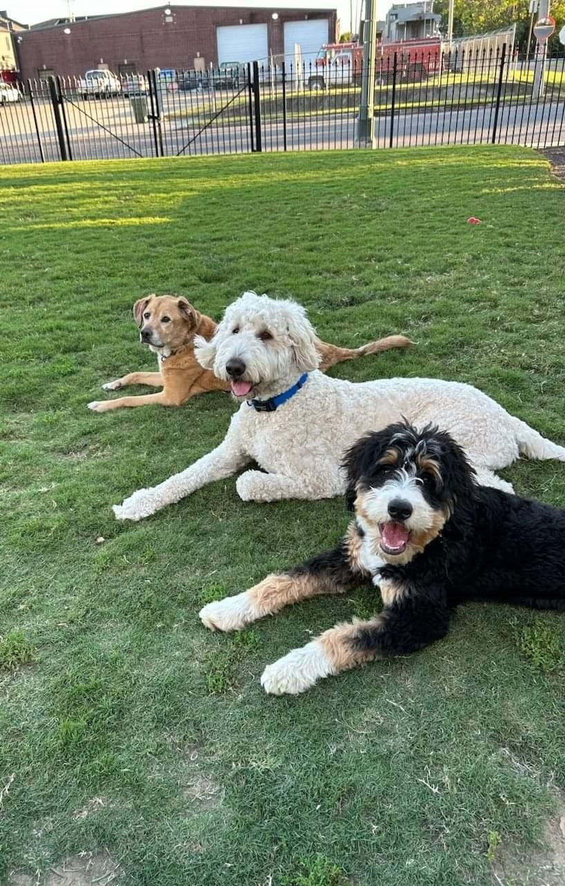 665 TENNESSEE ST Unit: 501