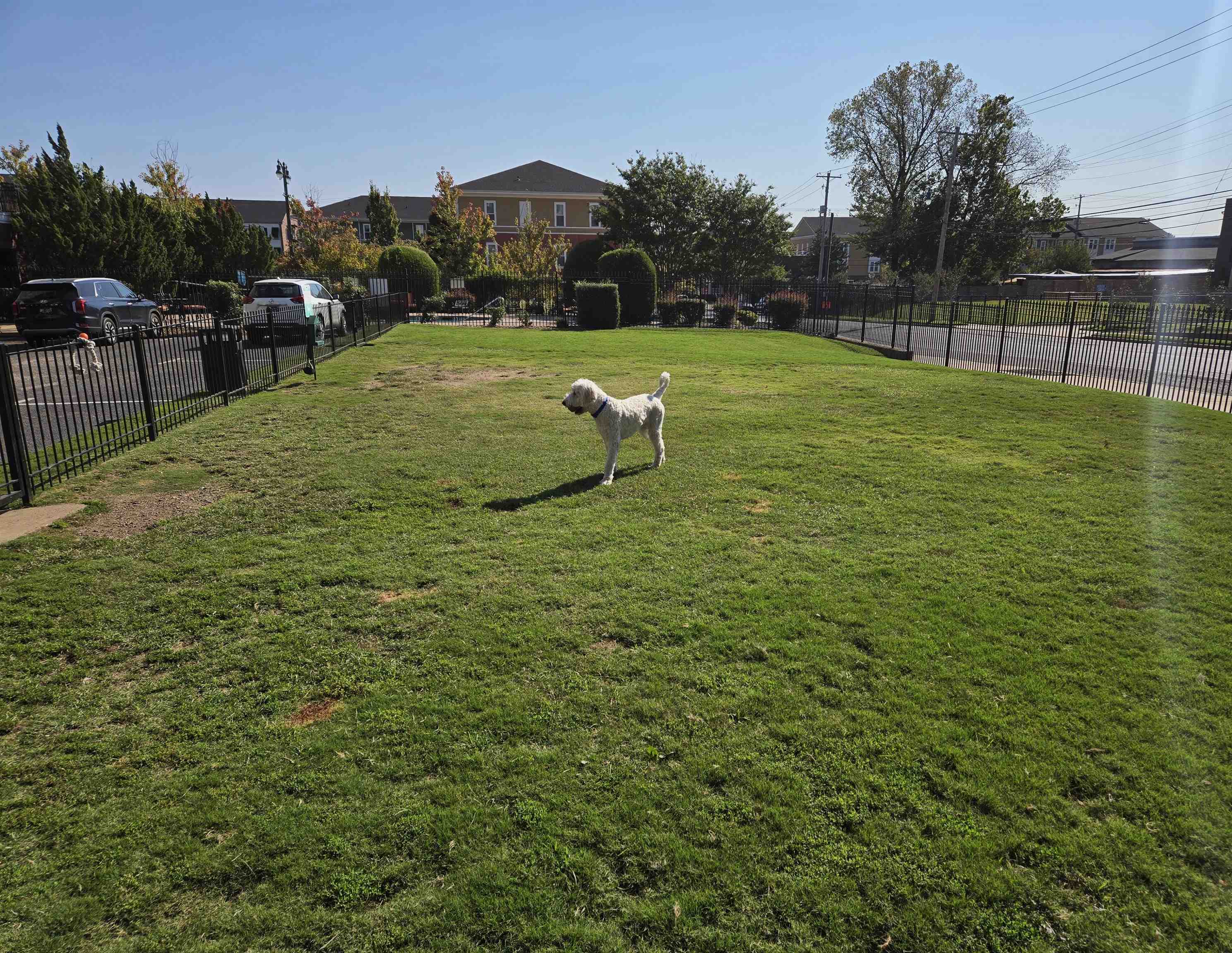 665 TENNESSEE ST Unit: 501