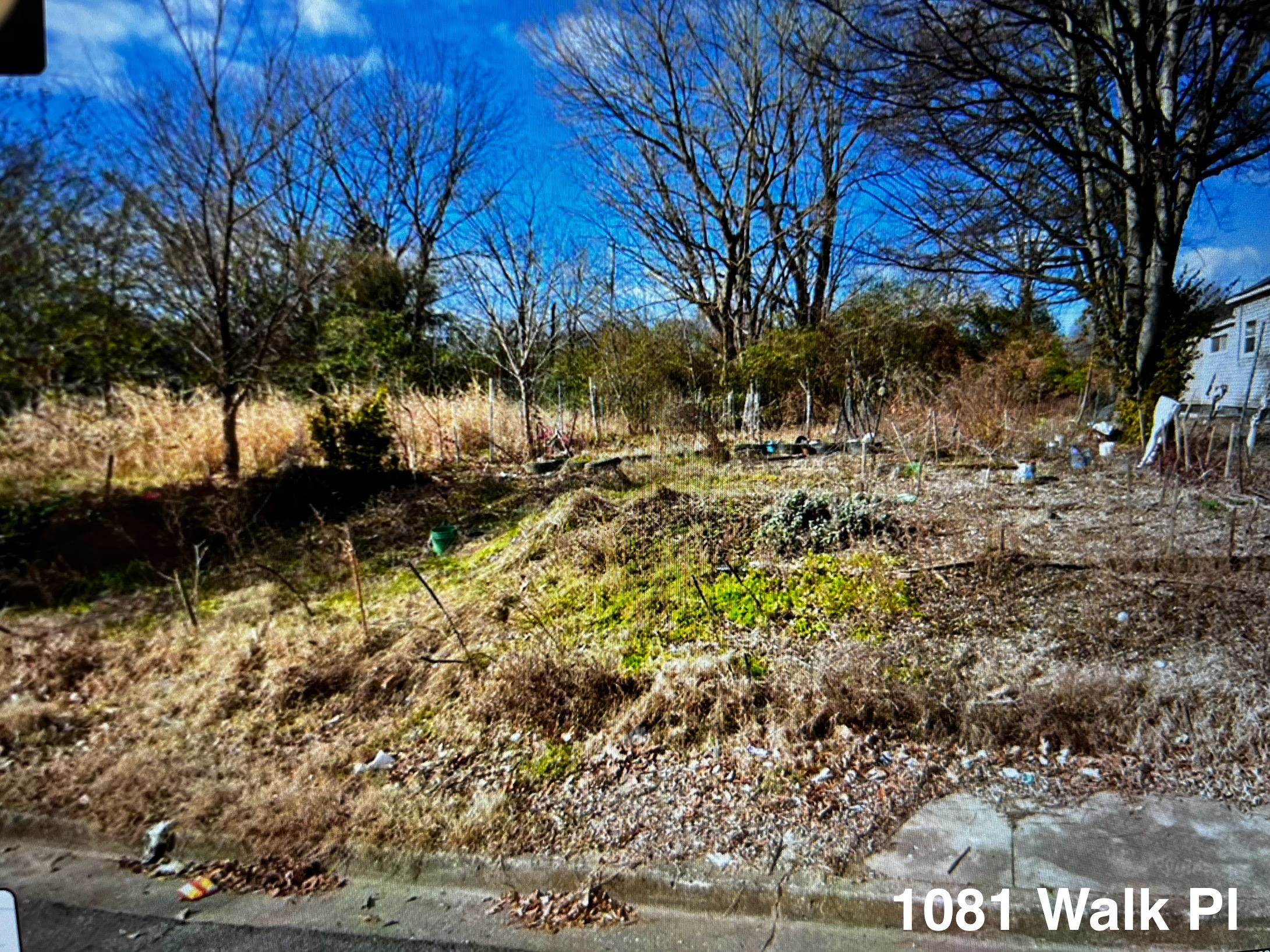 1081 WALK PL