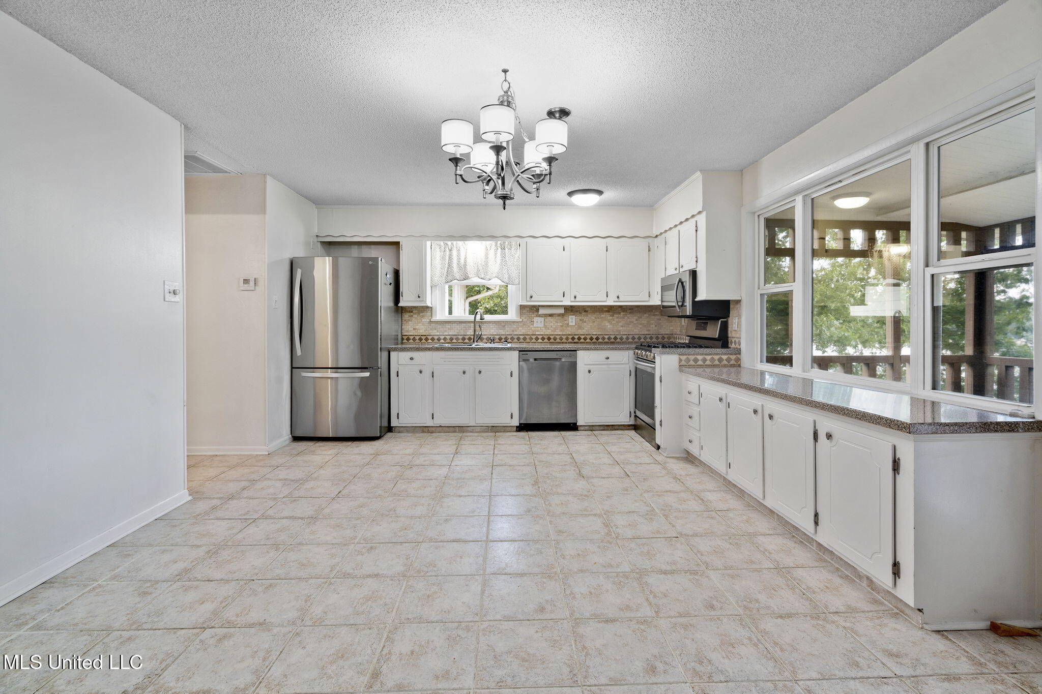 579 Snow Lake Drive Drive