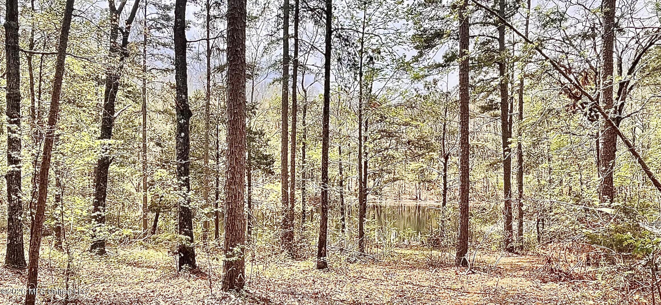 3221 Pine Grove Road