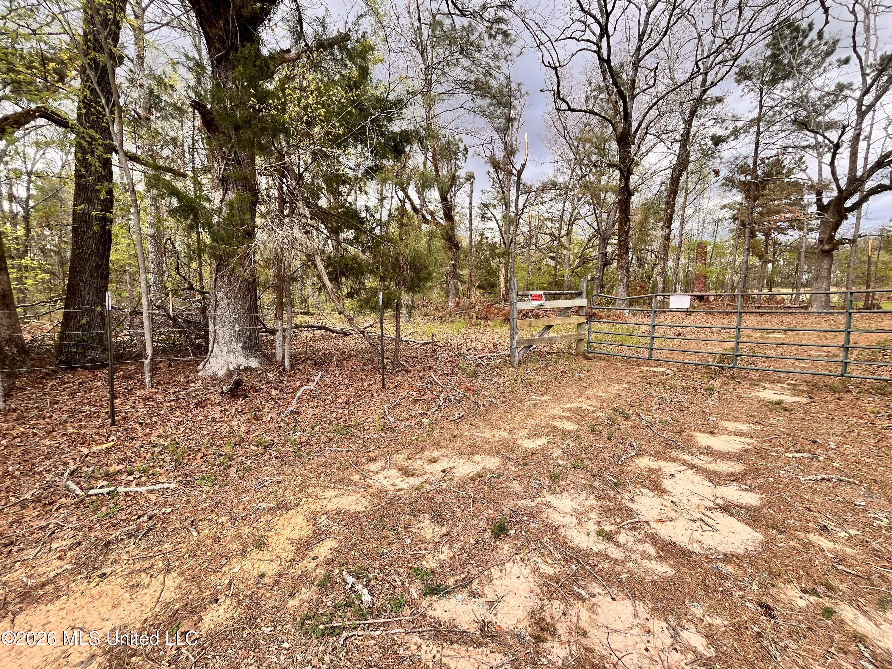 3221 Pine Grove Road