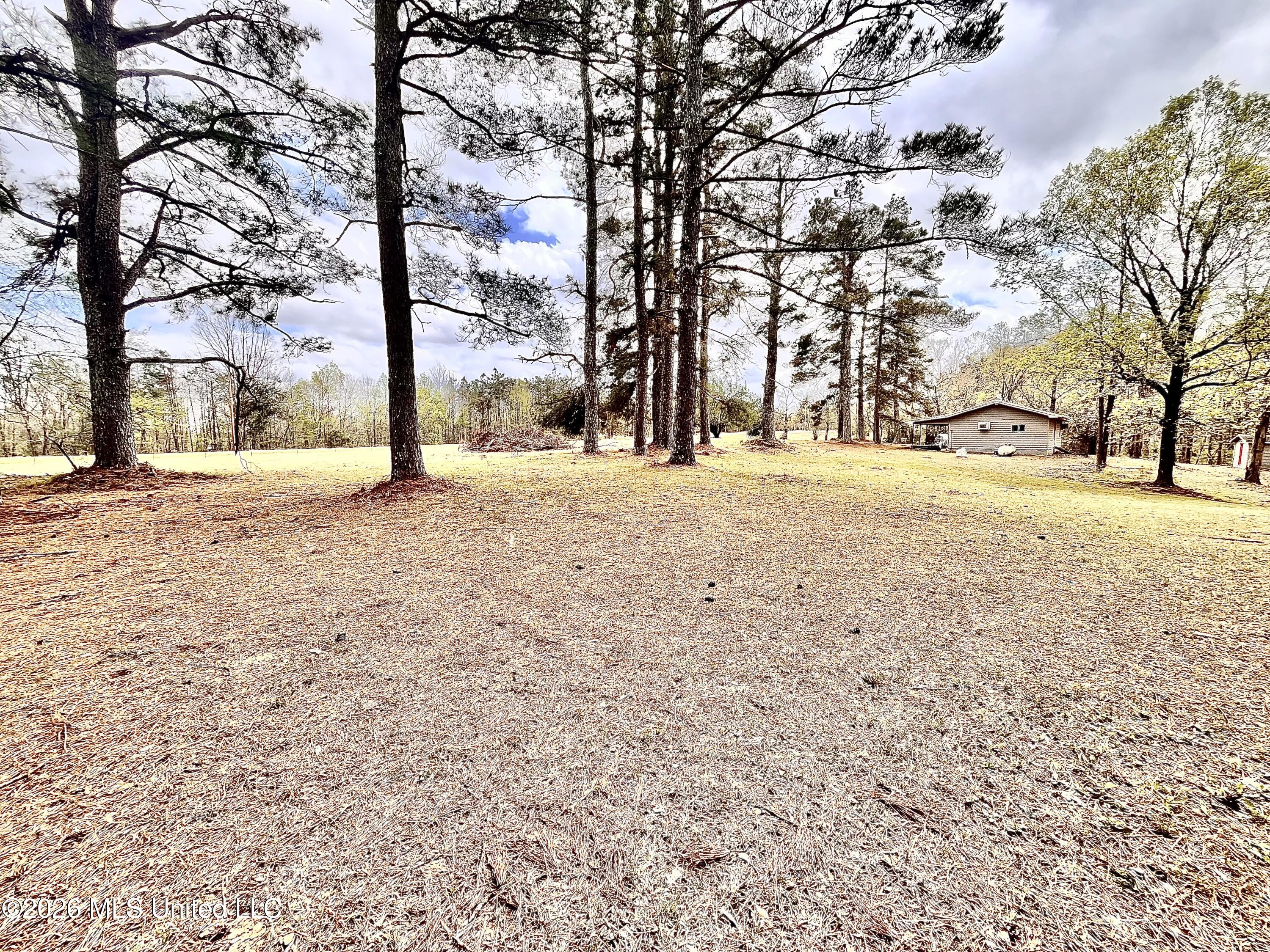 3221 Pine Grove Road