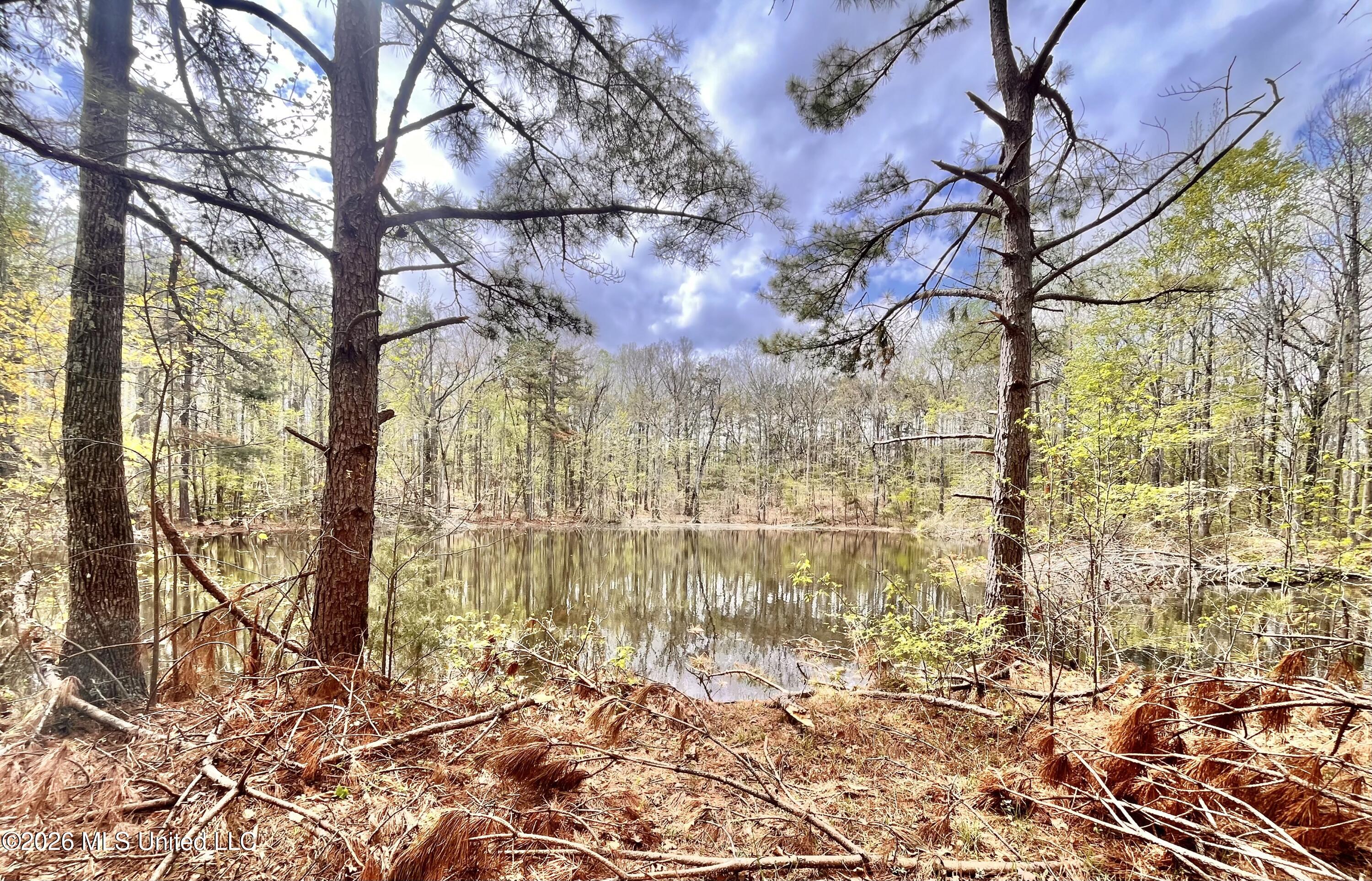 3221 Pine Grove Road