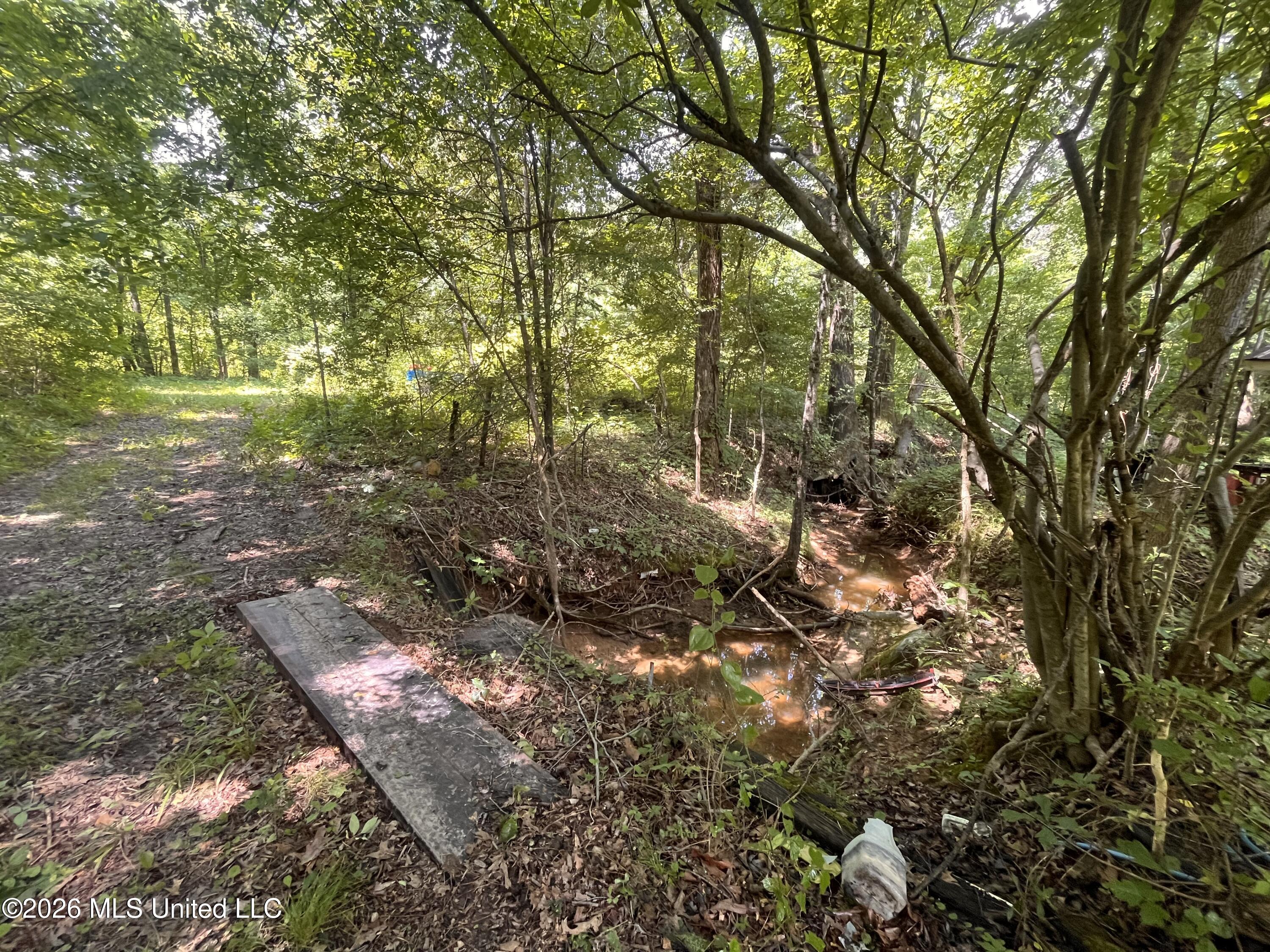 53 Lenzi Road