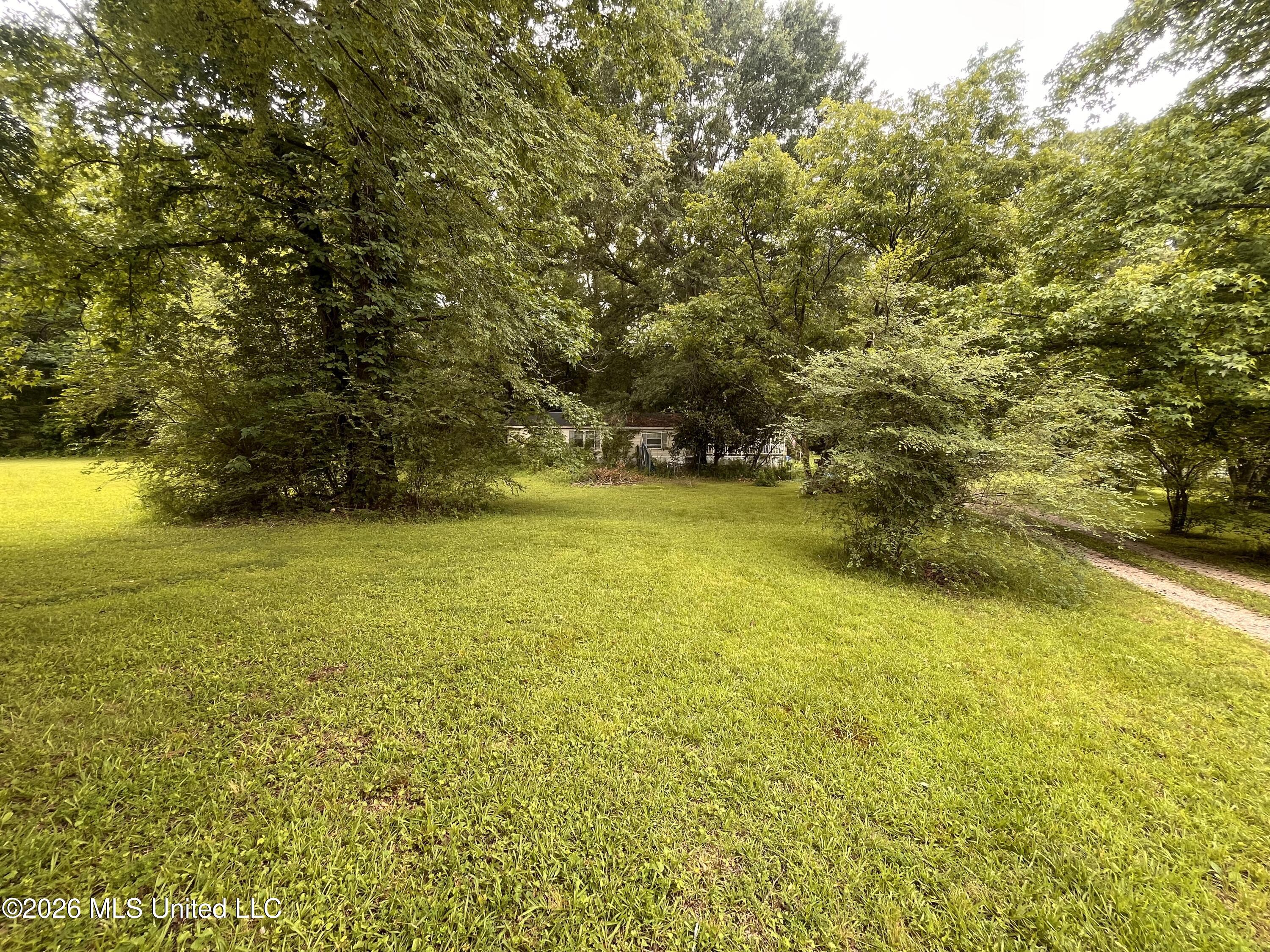 53 Lenzi Road