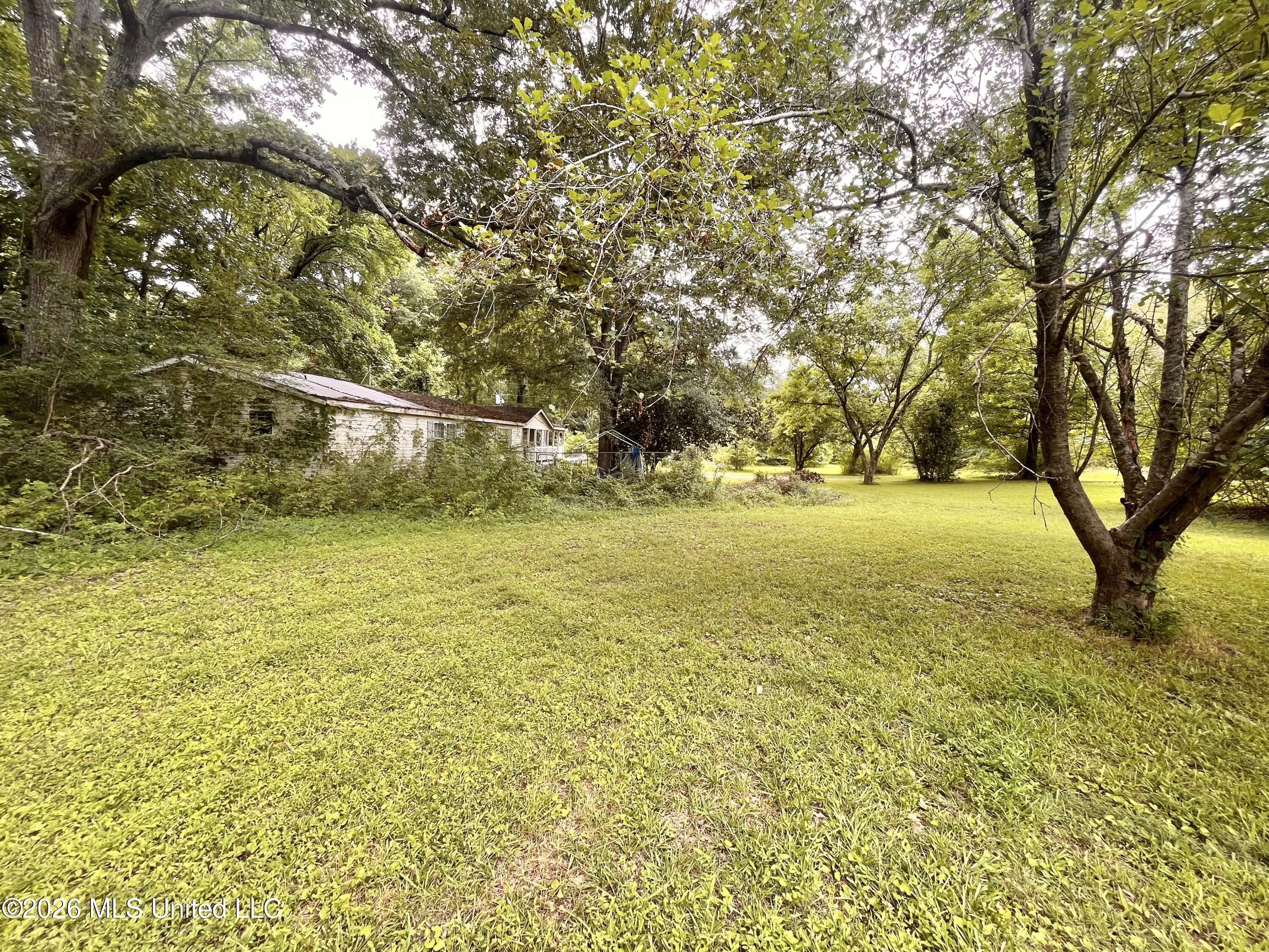 53 Lenzi Road