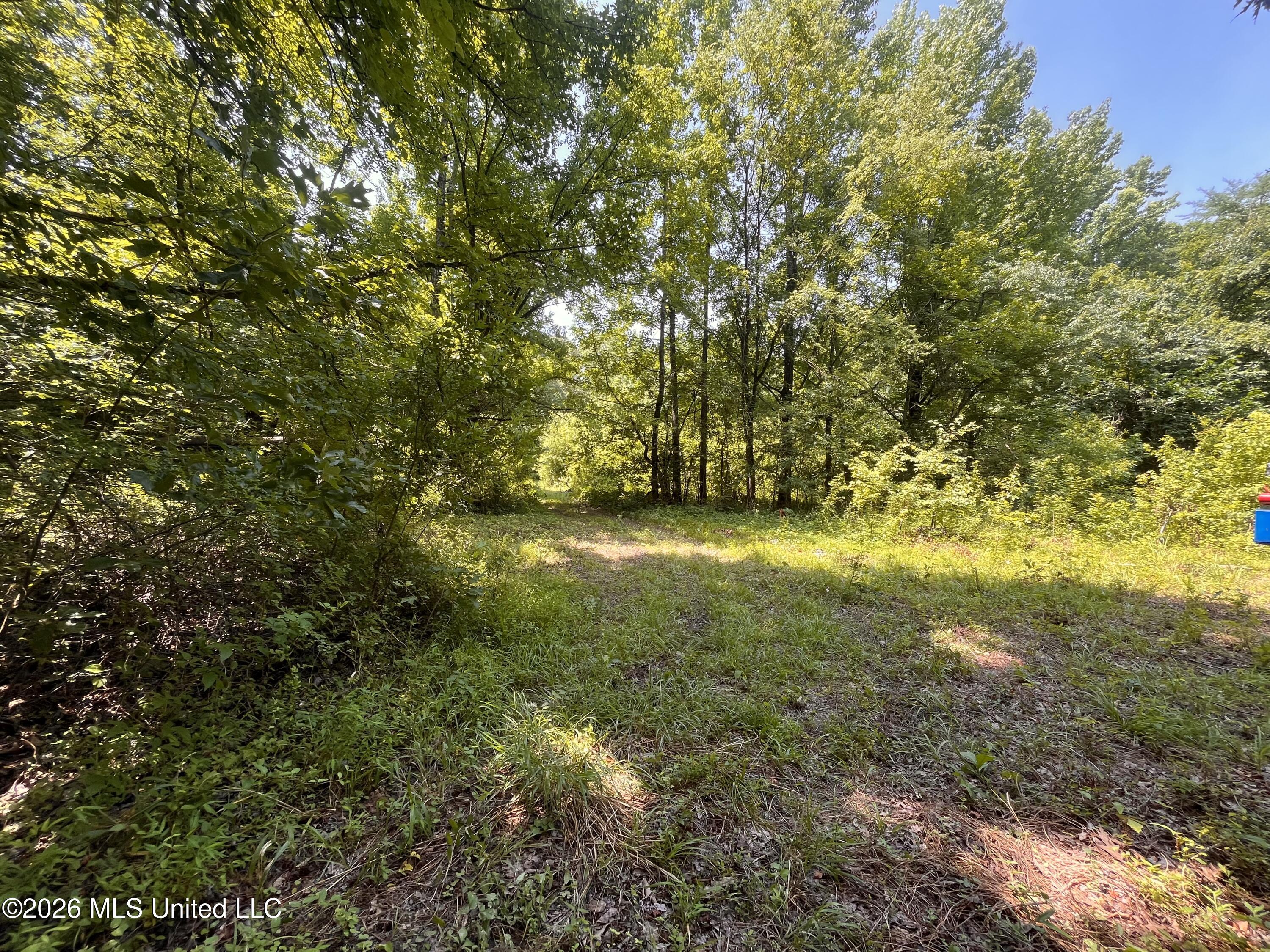 53 Lenzi Road