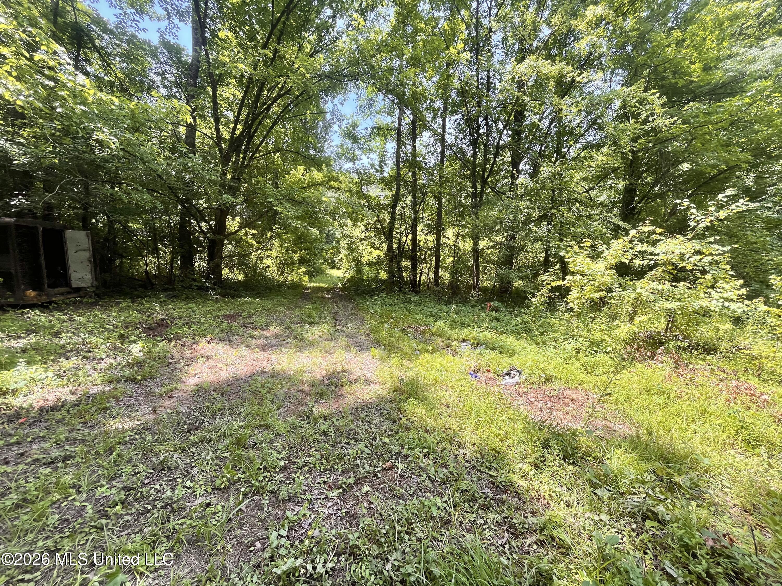 53 Lenzi Road
