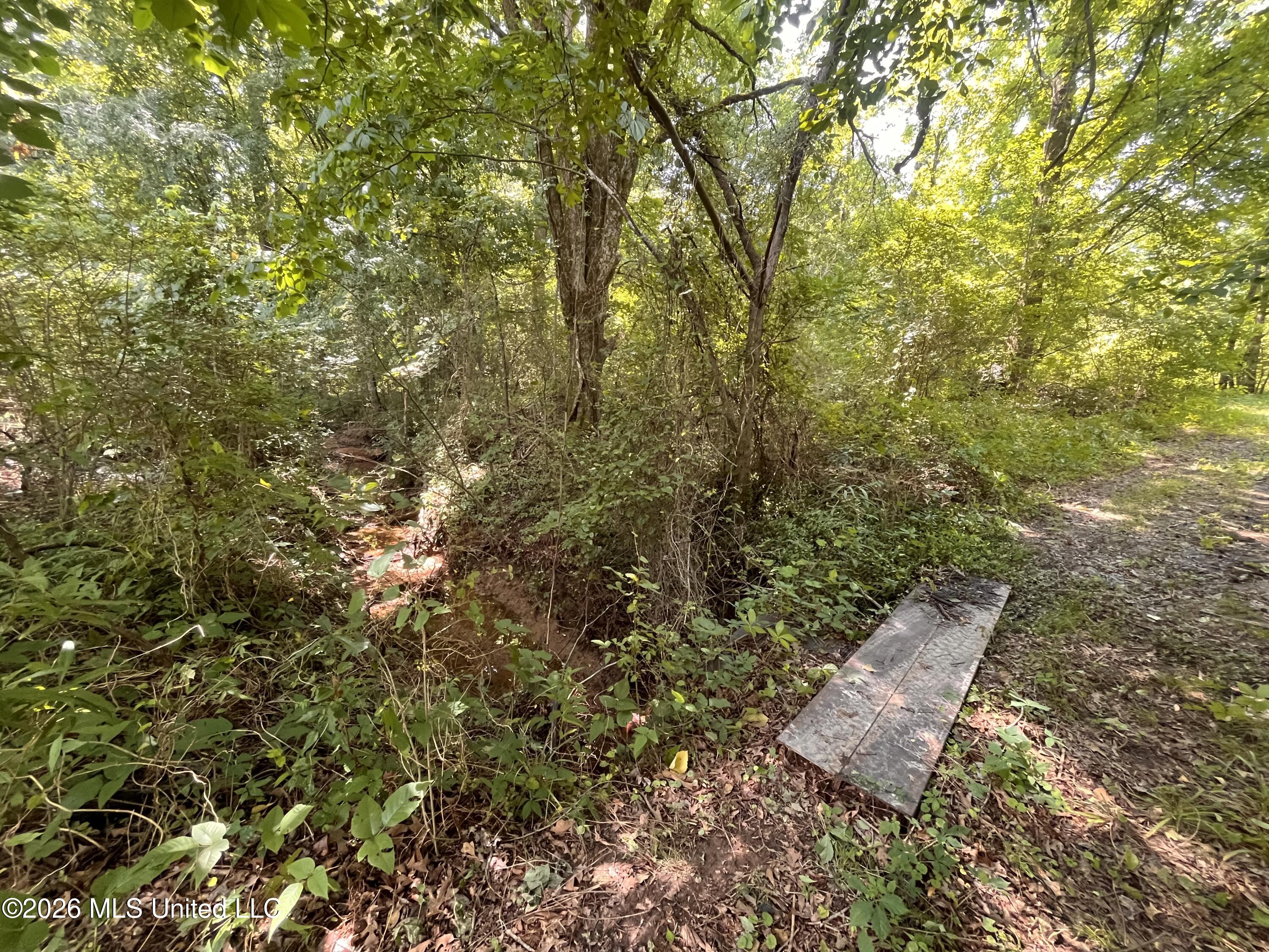 53 Lenzi Road