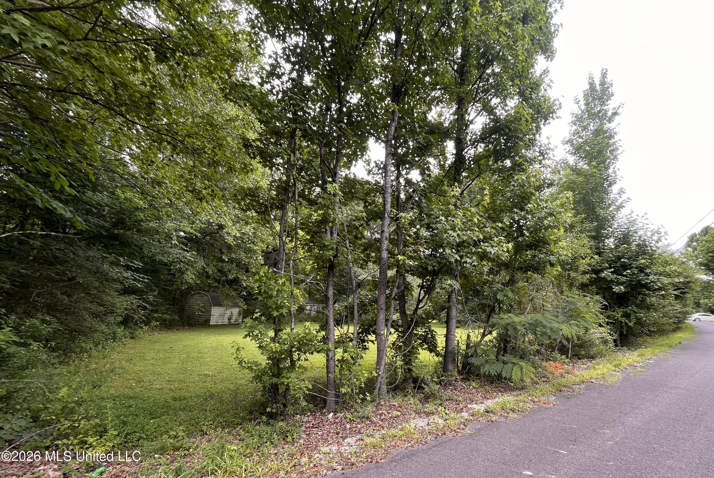 53 Lenzi Road