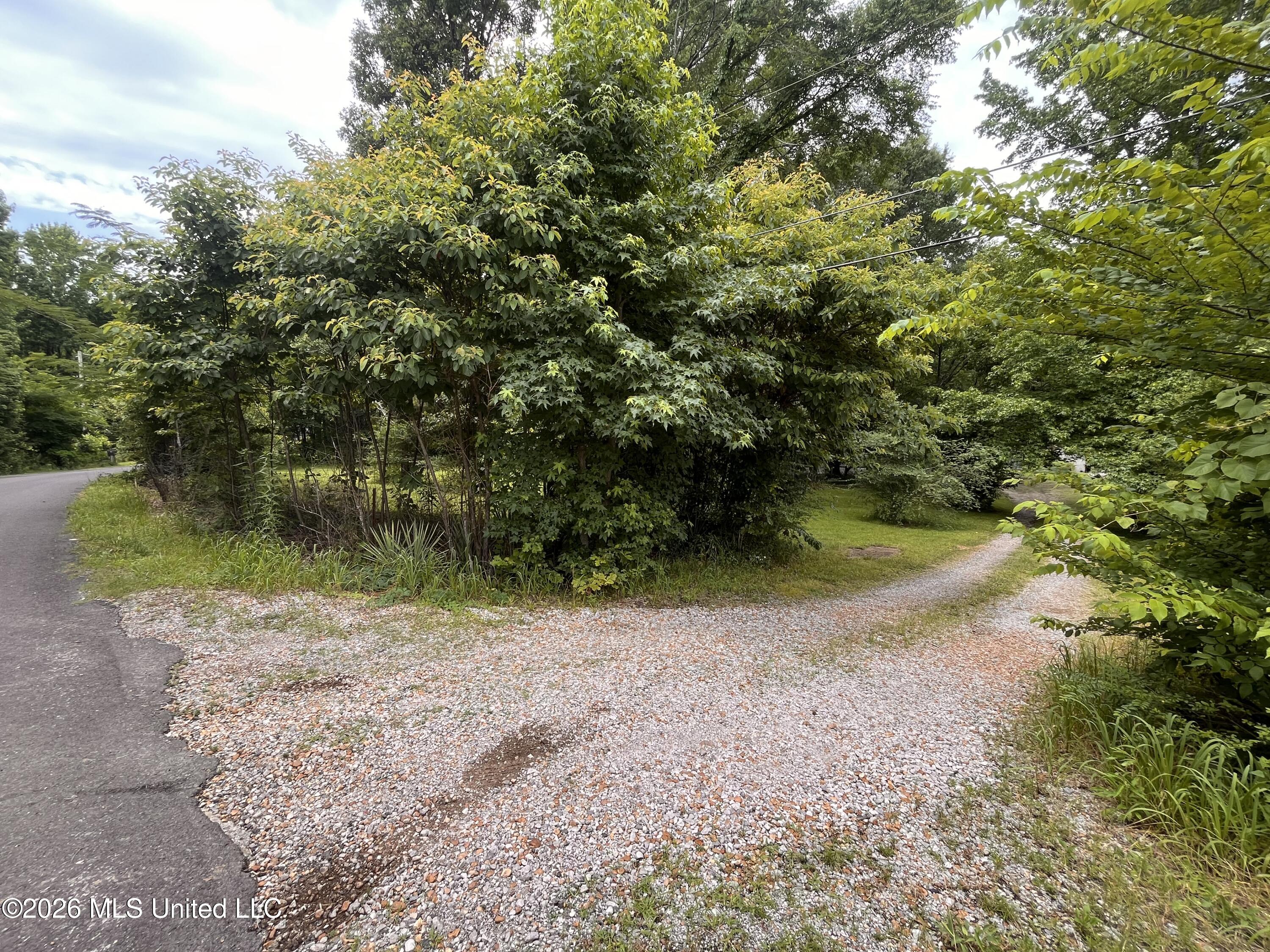 53 Lenzi Road