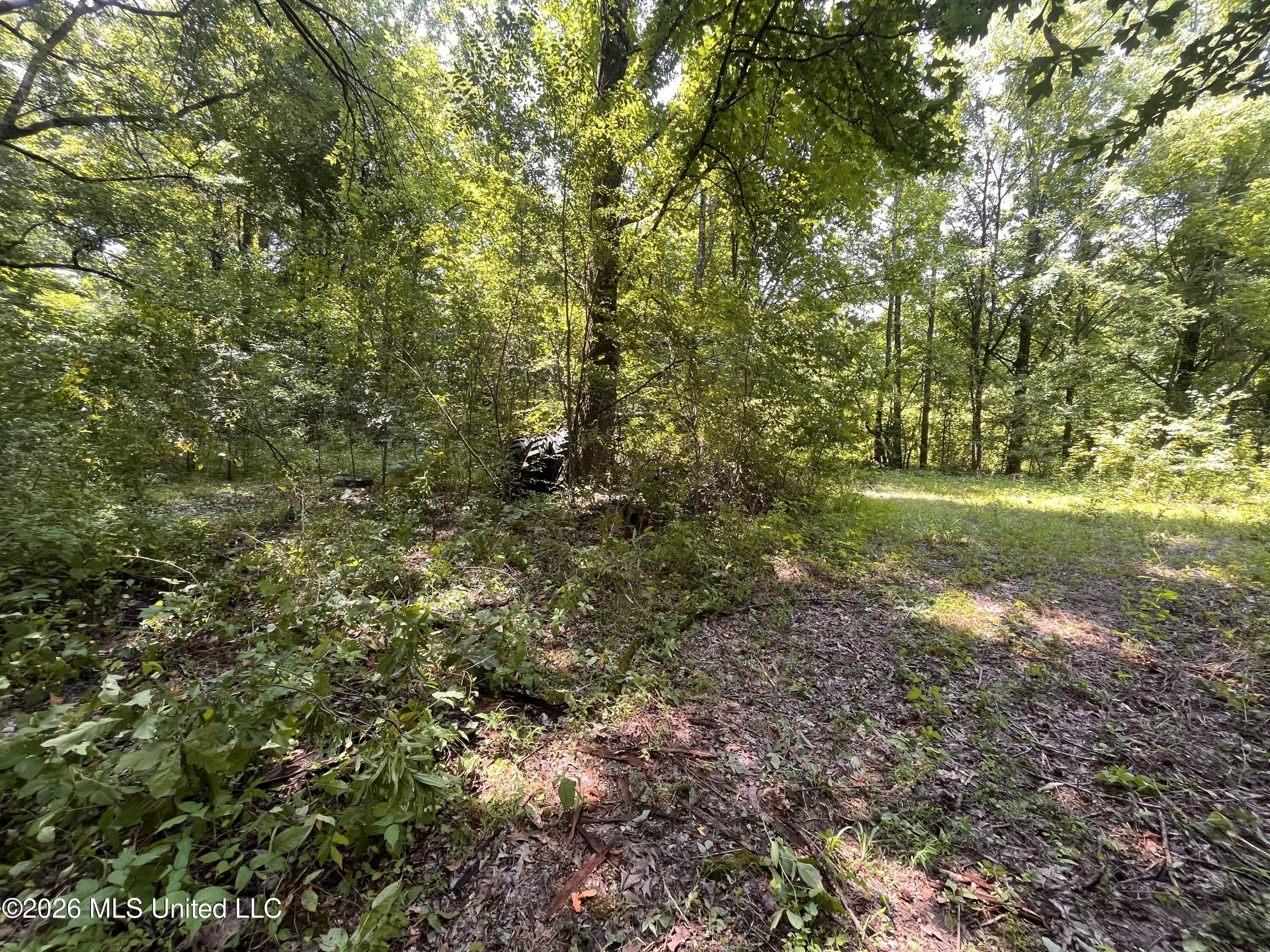 53 Lenzi Road
