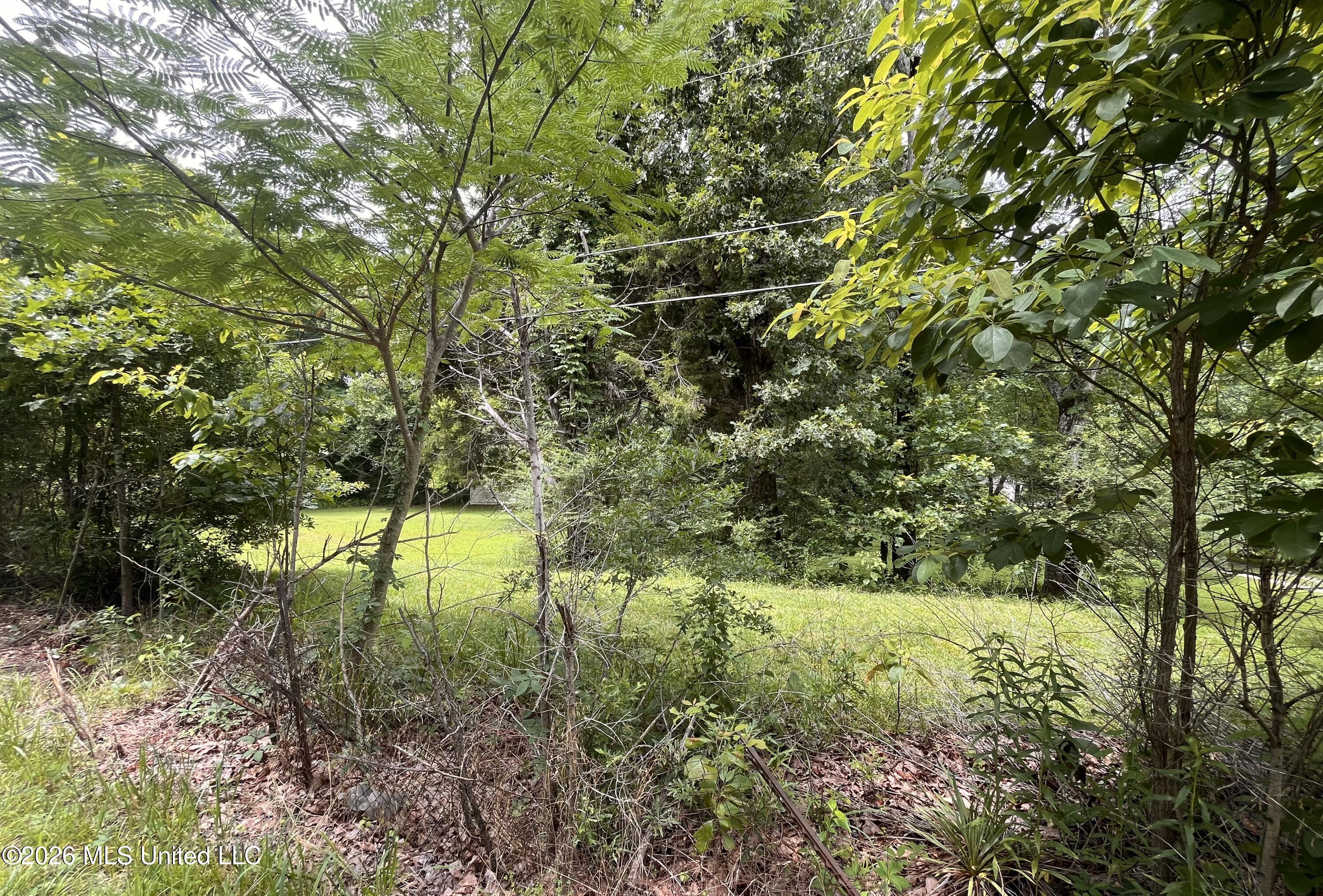 53 Lenzi Road