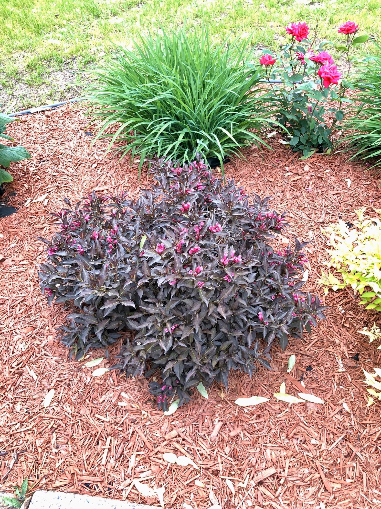 10409 Kilbirnie Road