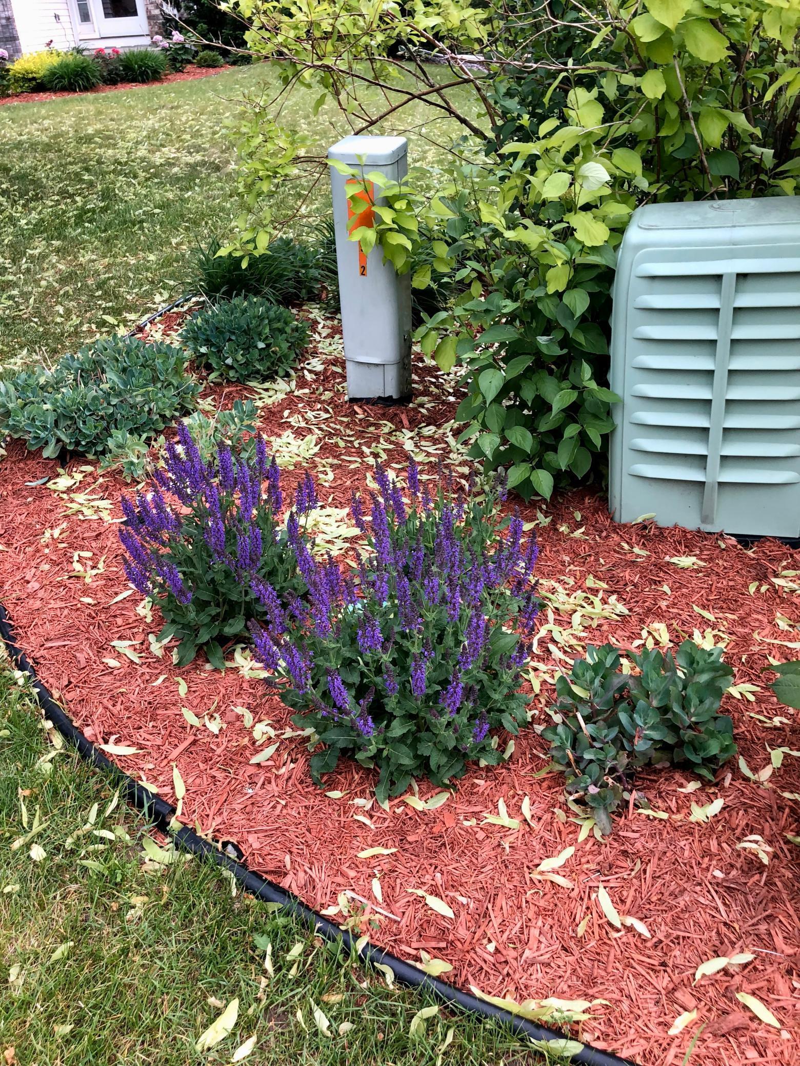 10409 Kilbirnie Road