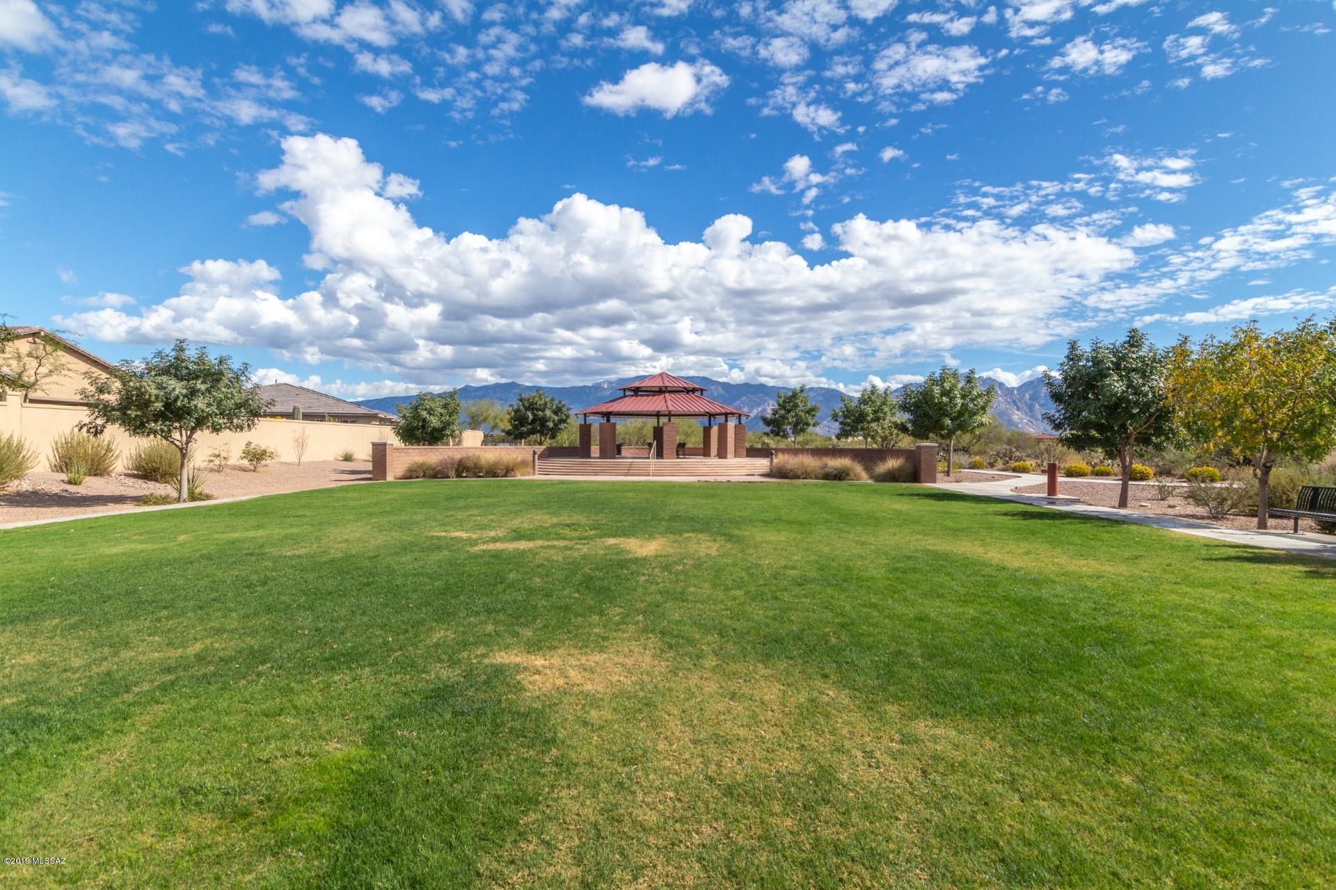 1084 W Desert Firetail Lane