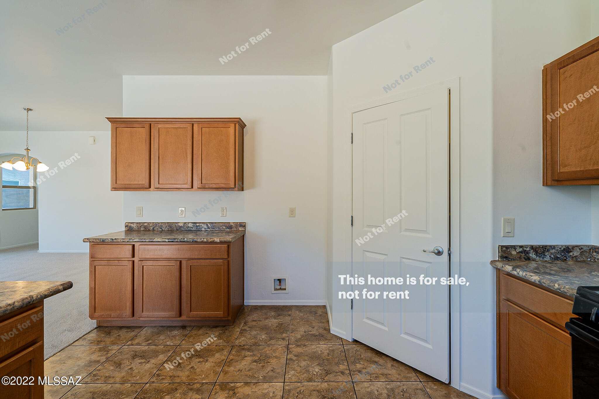 8267 W Canvasback Lane