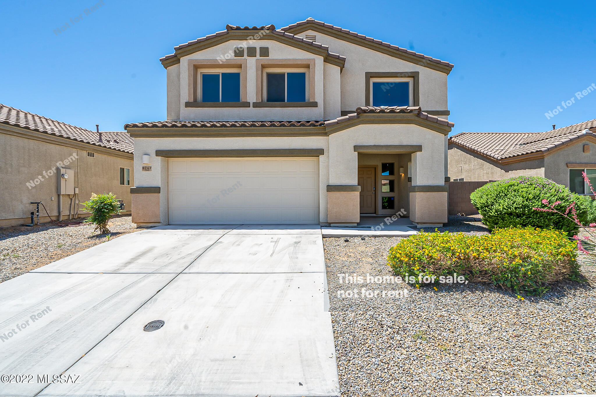 8267 W Canvasback Lane