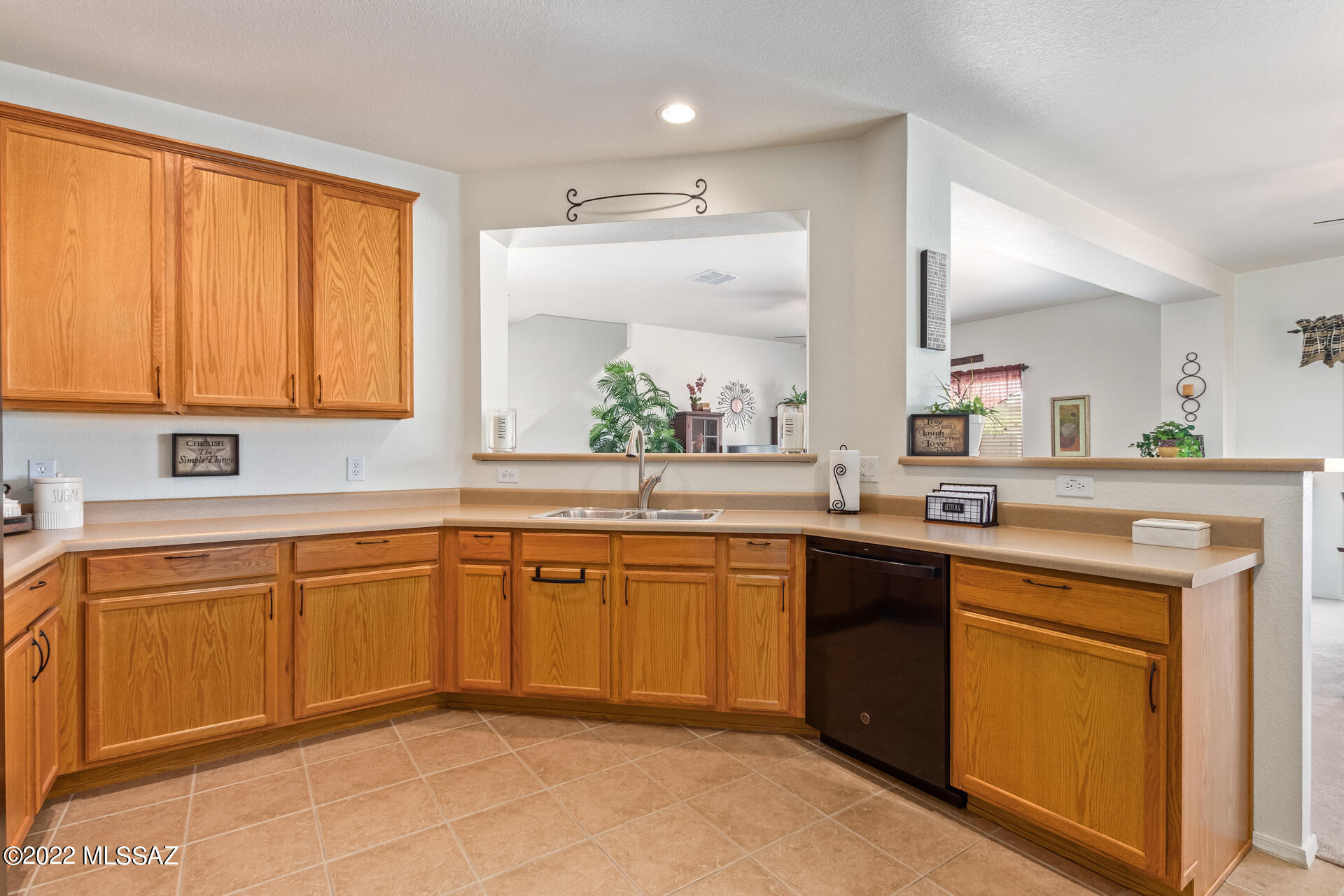 1076 W Camino Hombre Viejo