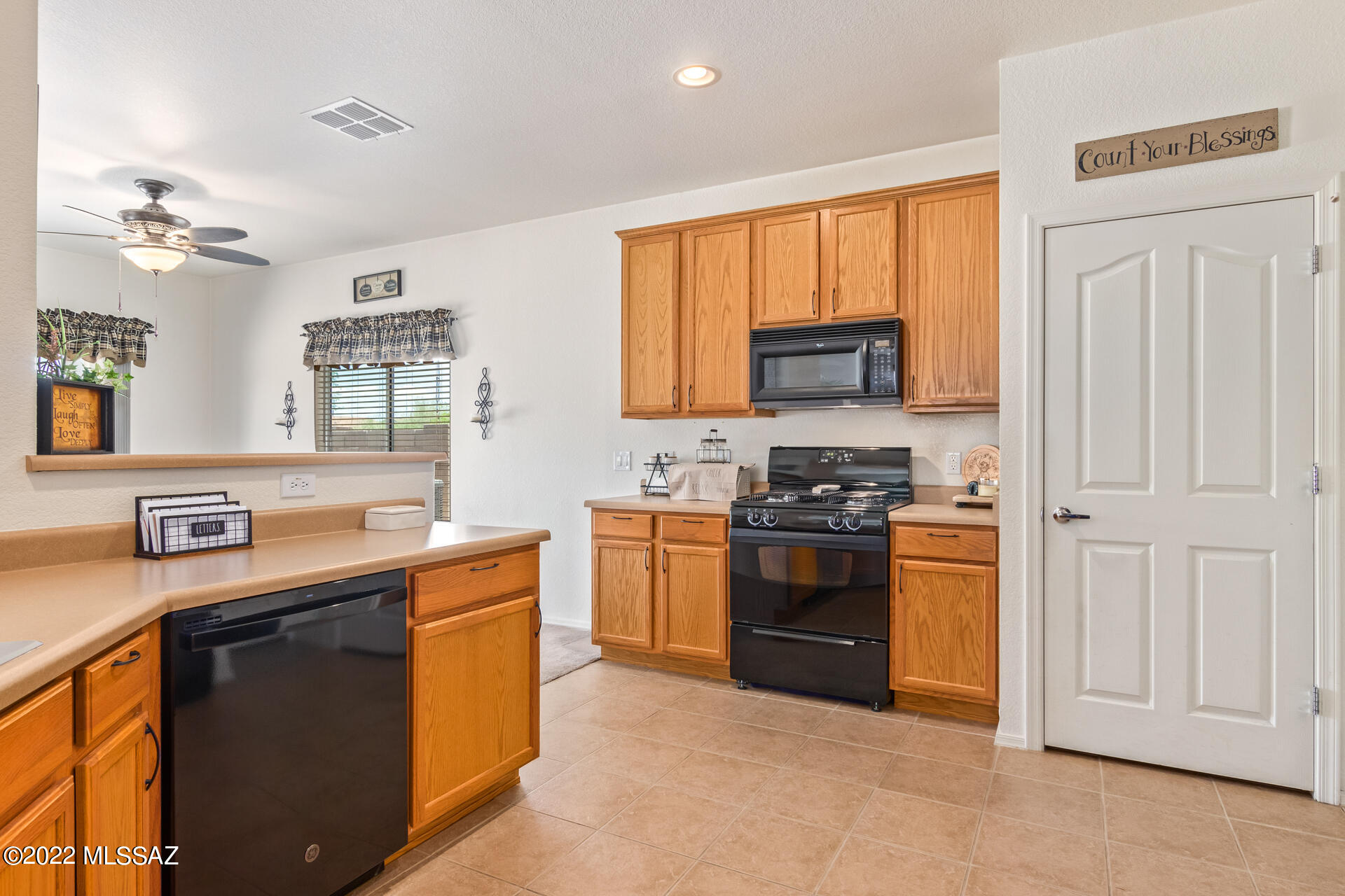 1076 W Camino Hombre Viejo