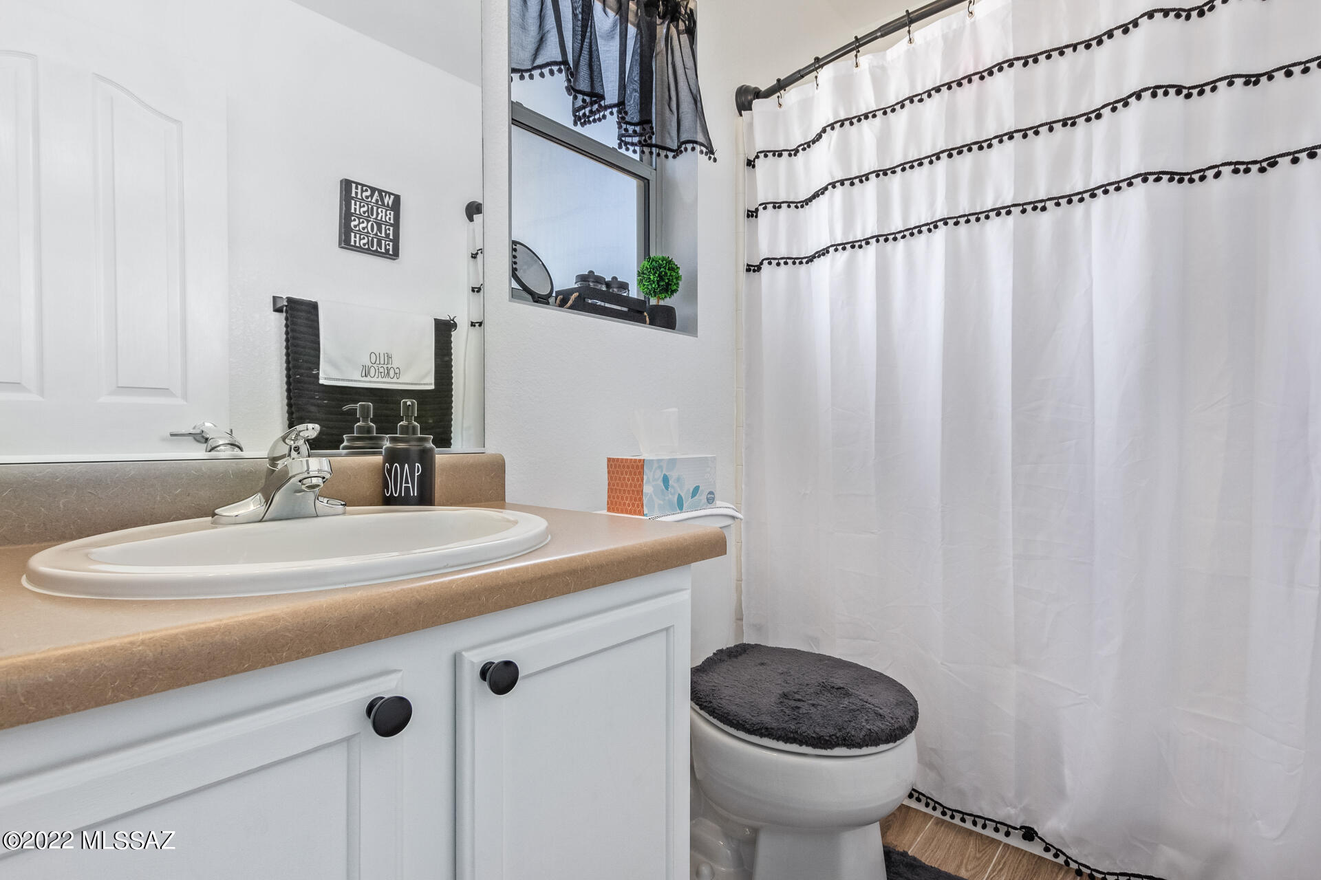 1076 W Camino Hombre Viejo