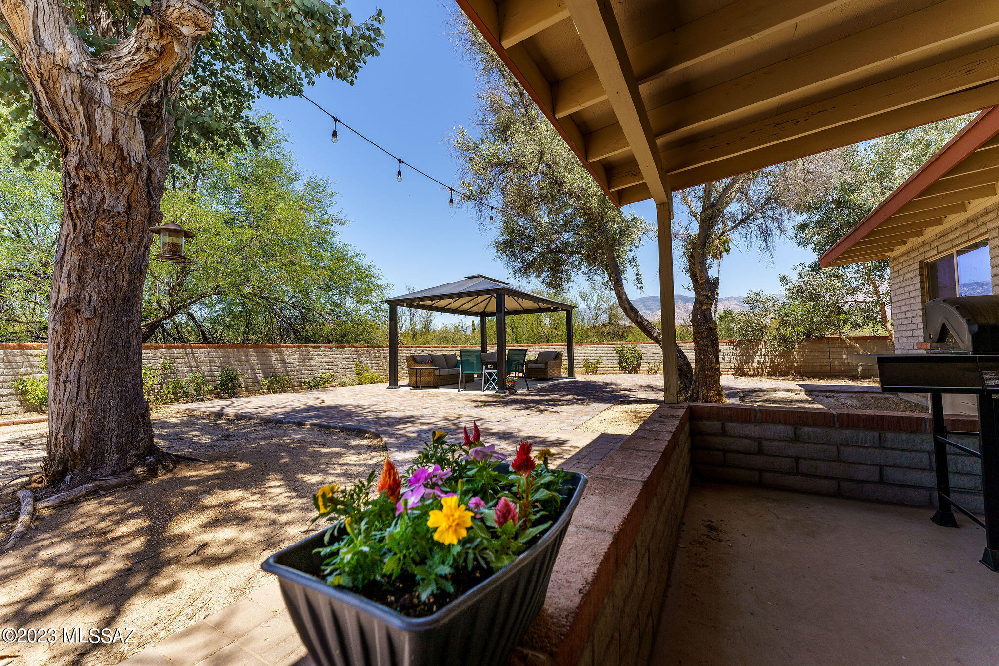 551 E Tangelo Drive