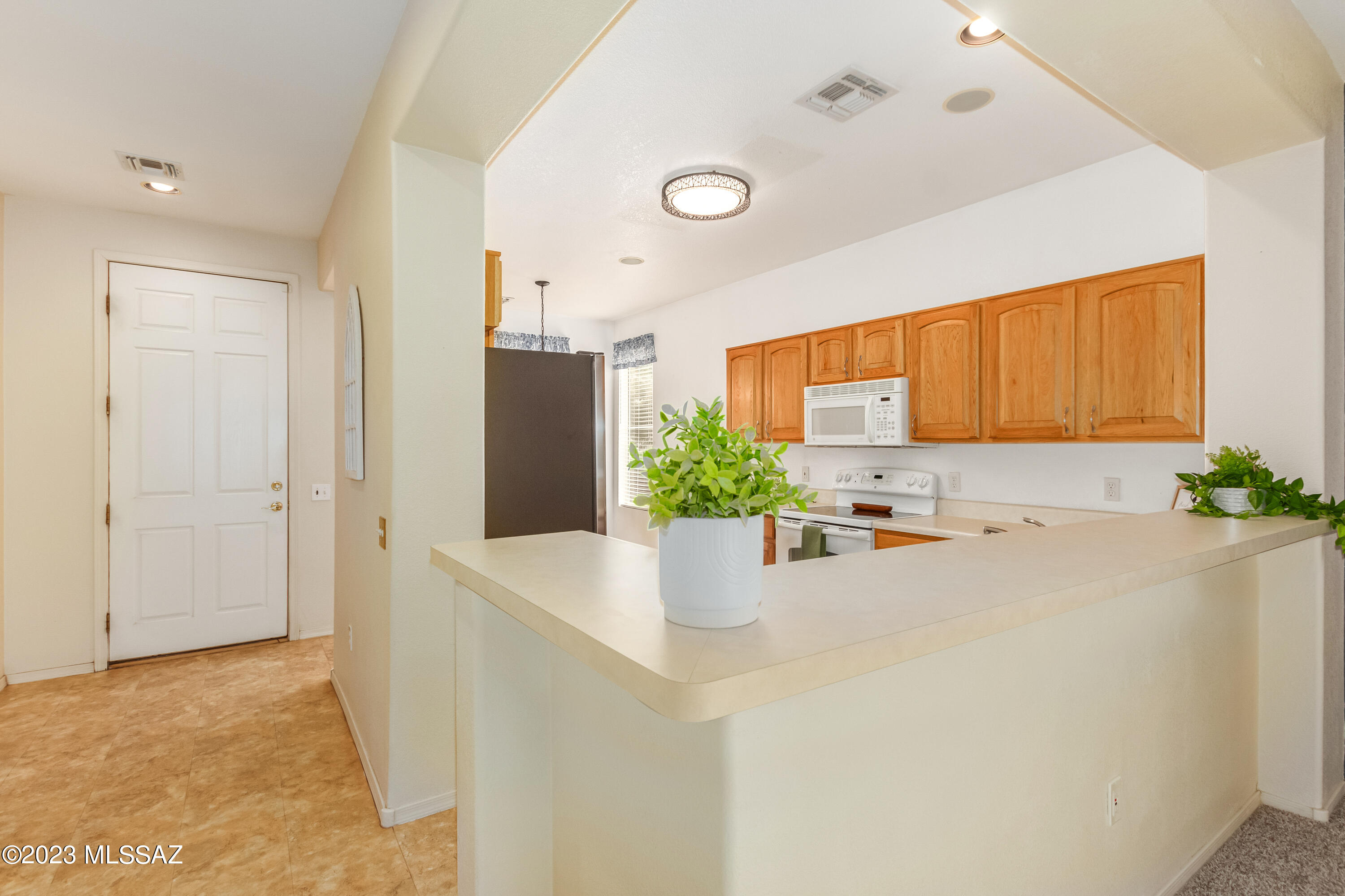 9253 N Twinkling Shadows Way