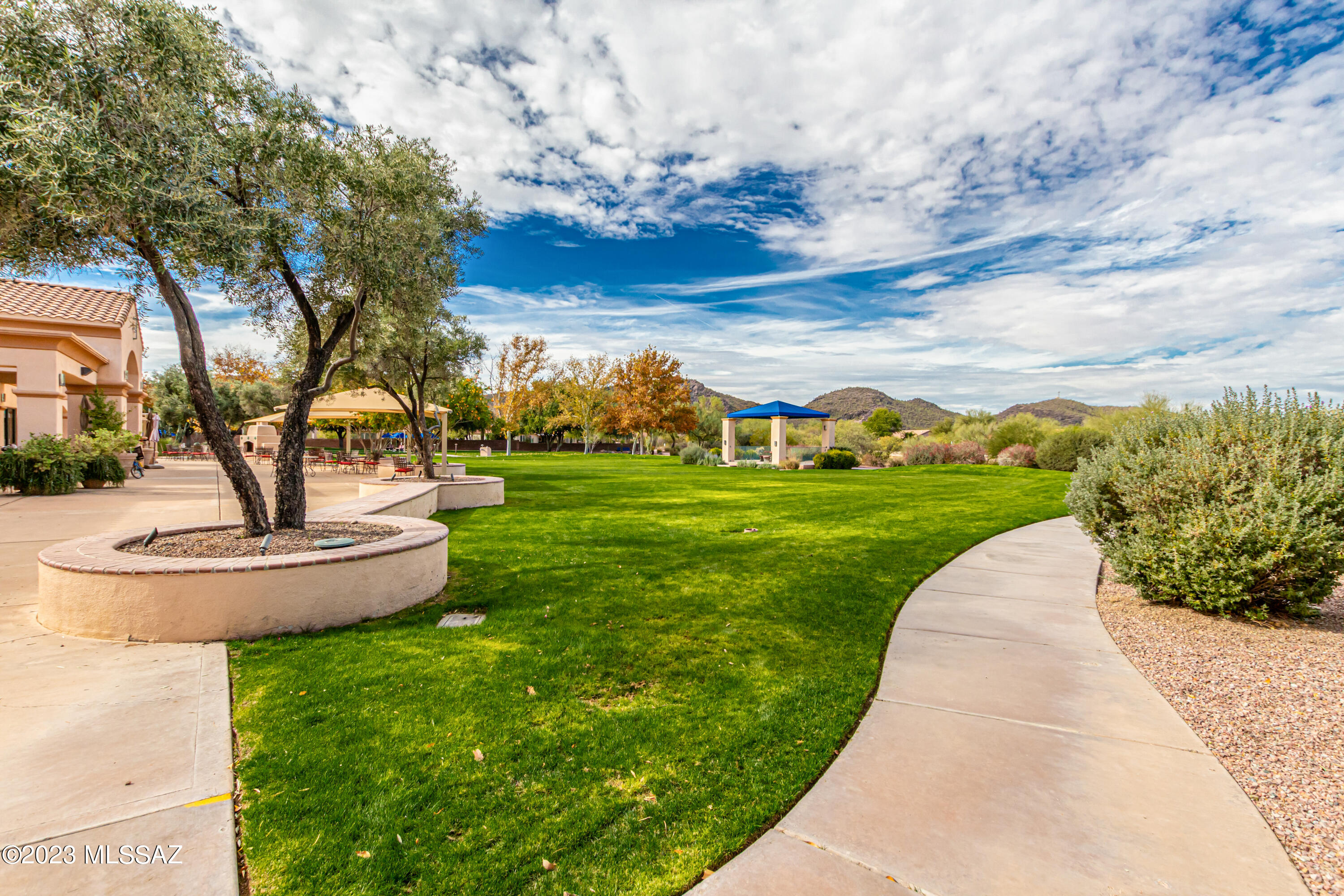 9253 N Twinkling Shadows Way